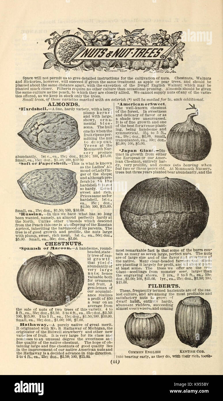 Lovett il catalogo illustrato della frutta e alberi ornamentali e impianti per l'autunno del 1891 (16816140329) Foto Stock