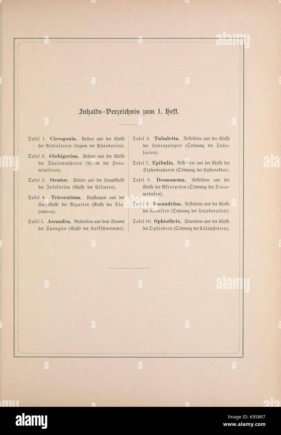 "Kunstformen der Natur" di Ernst Haeckel presenta una raccolta di illustrazioni dettagliate di vari organismi, sottolineandone la bellezza e la complessità. L'opera unisce arte e scienza. Foto Stock