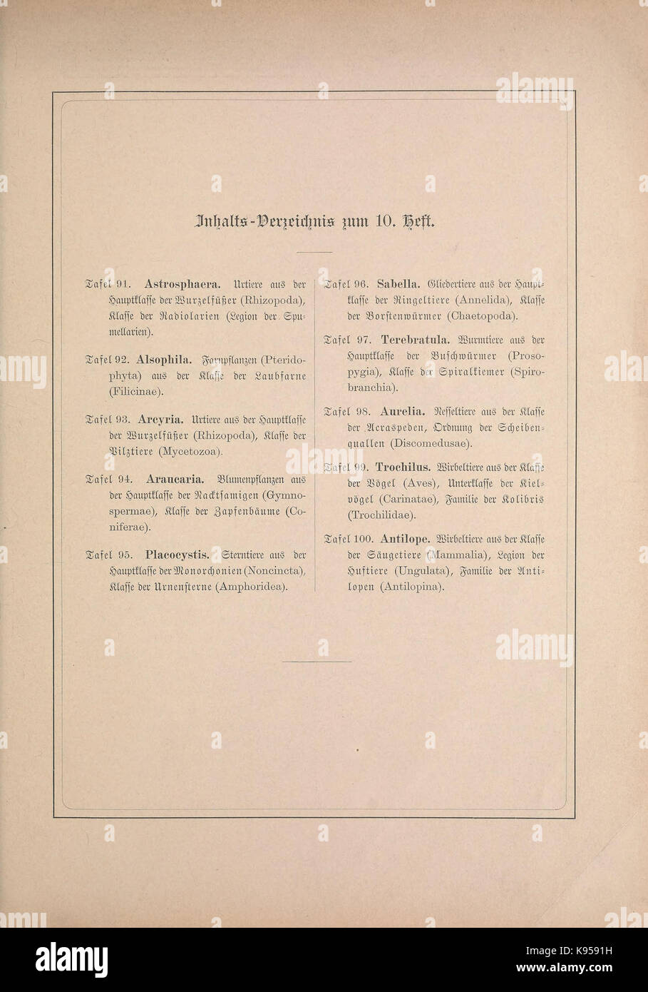 Kunstformen der Natur BHL47388447 Foto Stock