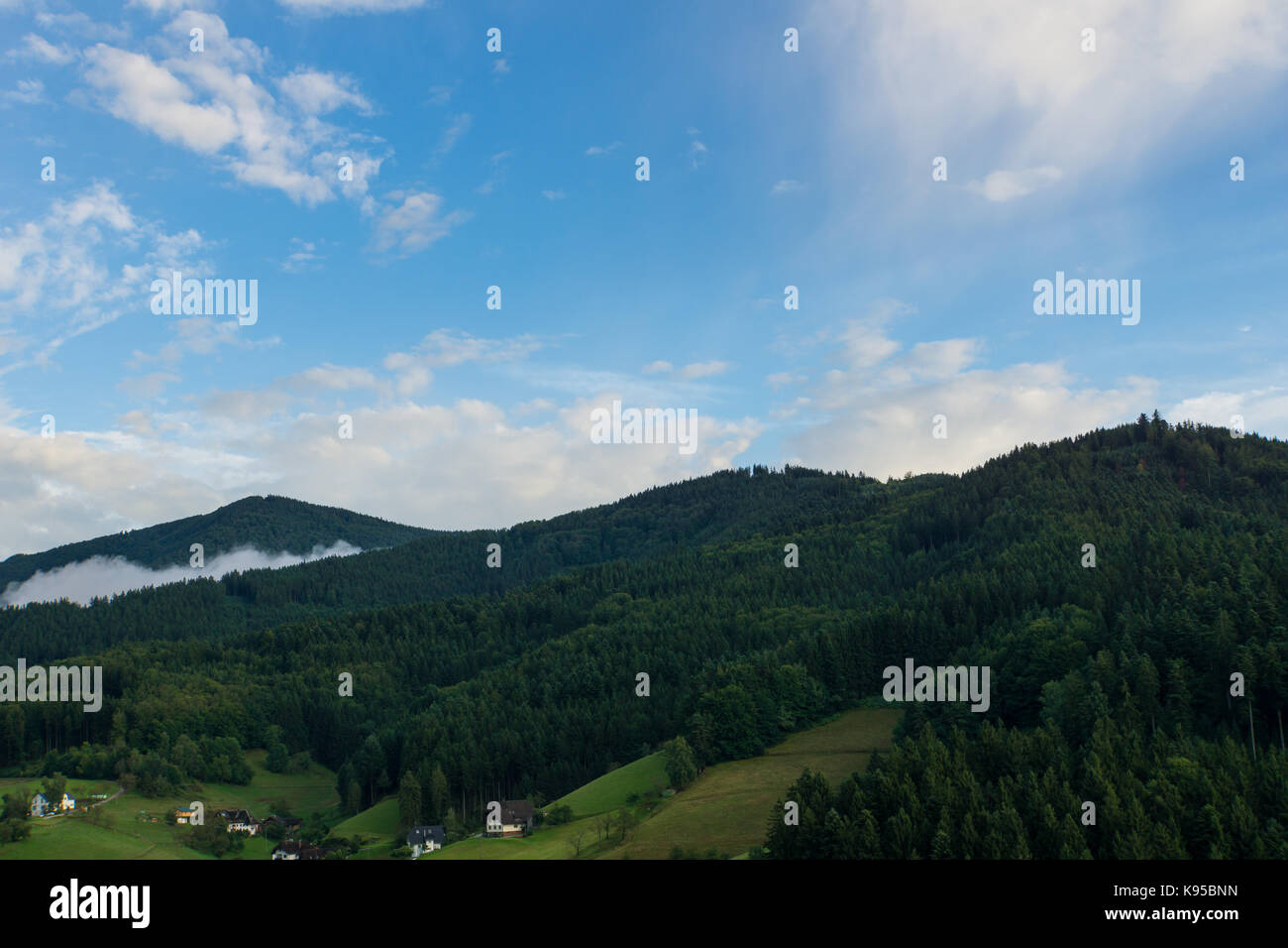 Vista Aerea della Foresta nera in Germania vicino a Friburgo all'alba con nebbia e cielo blu Foto Stock