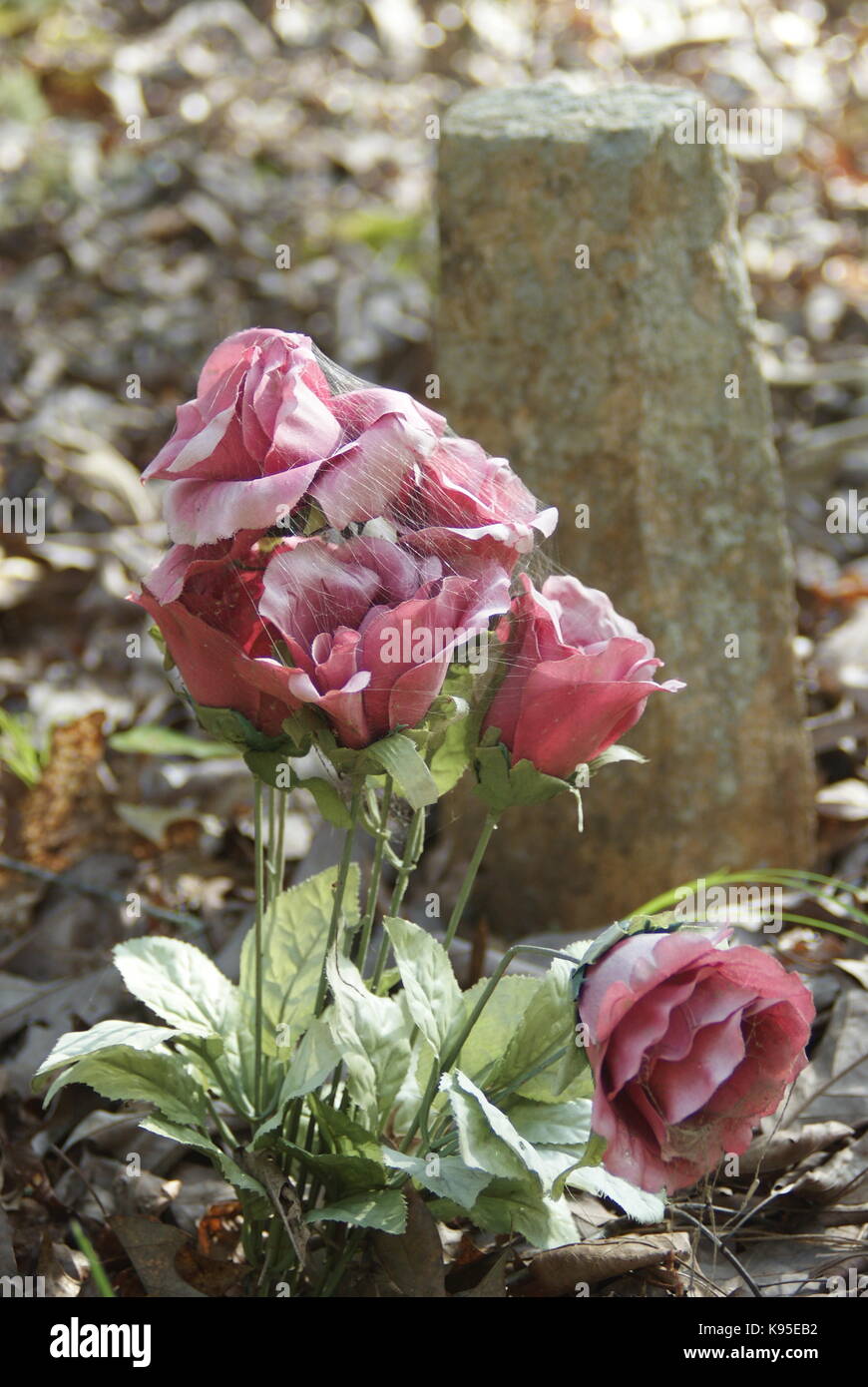 Cimitero di fiori Foto Stock