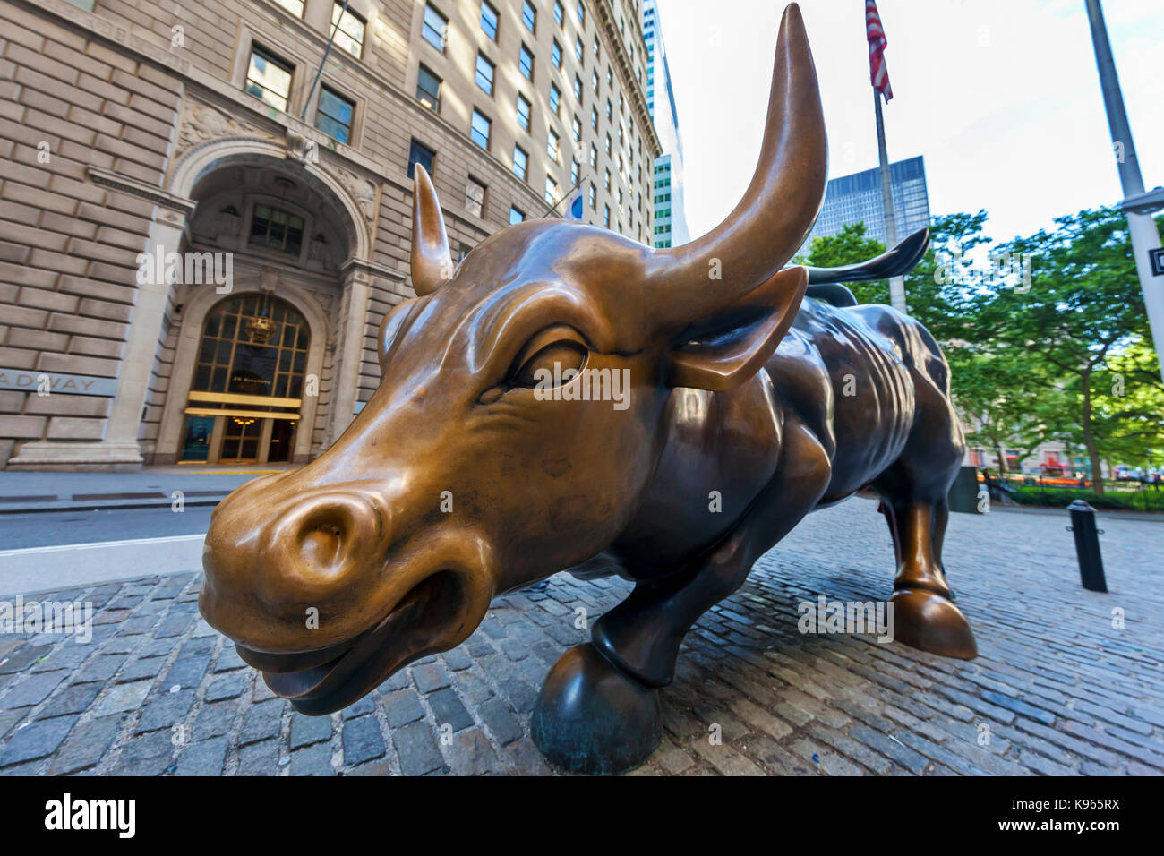 La carica Bull statua sul display nel quartiere finanziario, vicino alla Borsa di New York a Manhattan, New York City. Foto Stock