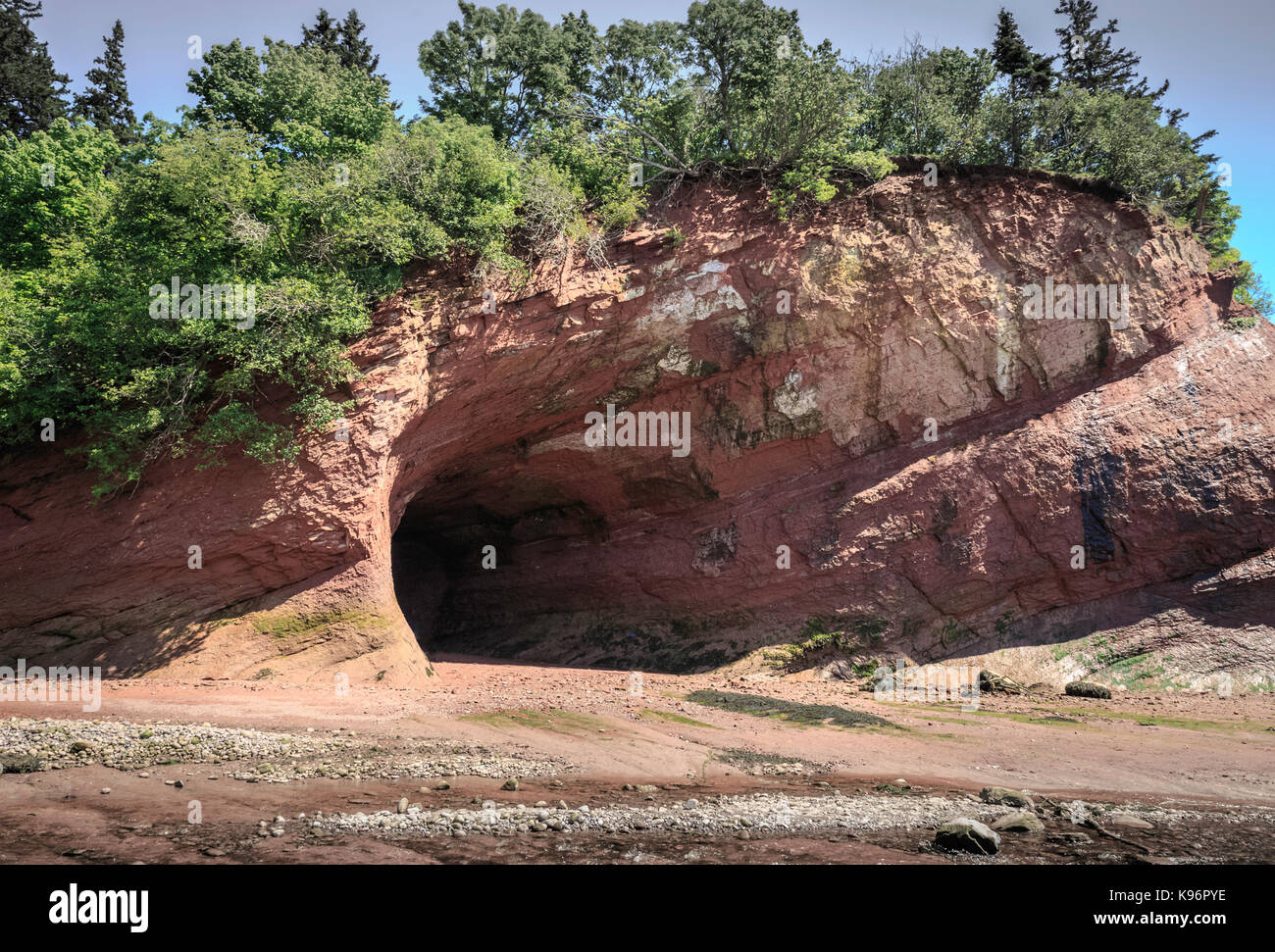 Grande caverna nella parete a strapiombo sulla baia di Fundy costa, New Brunswick, Canada Foto Stock