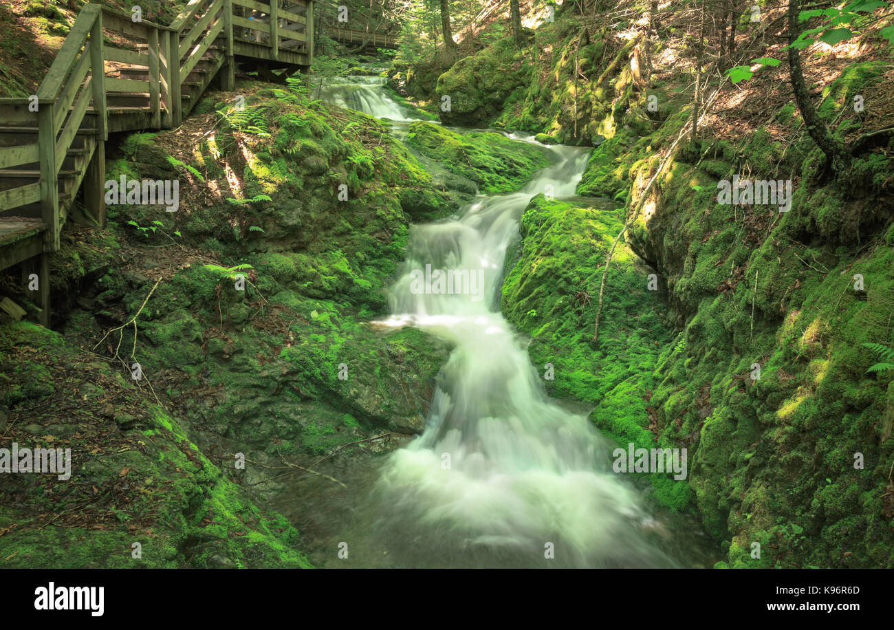Vista parziale del lungomare come segue a fianco della cascata a dickson falls, baia di Fundy, fundy national park, New Brunswick, Canada Foto Stock