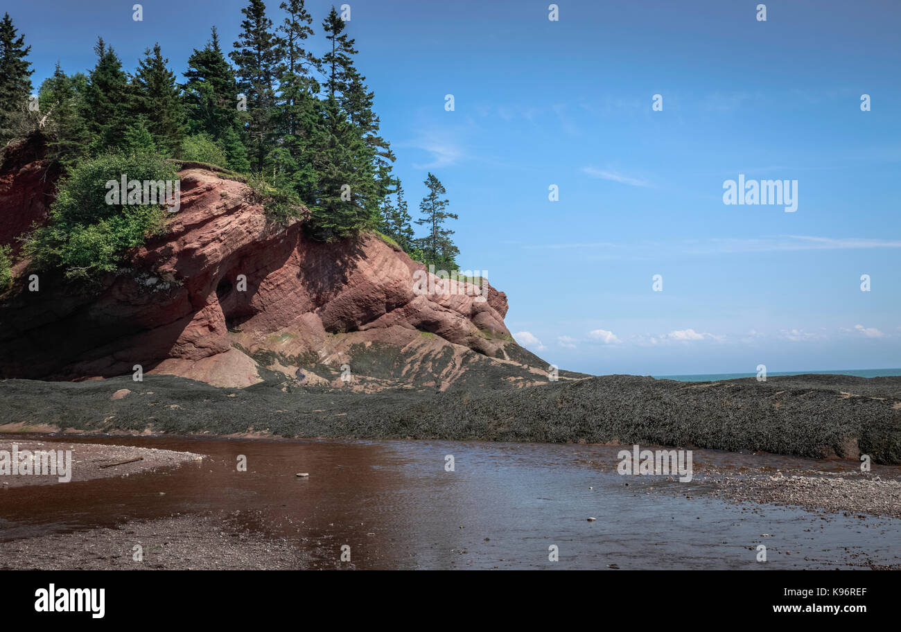 Alte scogliere e costa rocciosa lungo la baia di Fundy la costa, New Brunswick, Canada Foto Stock