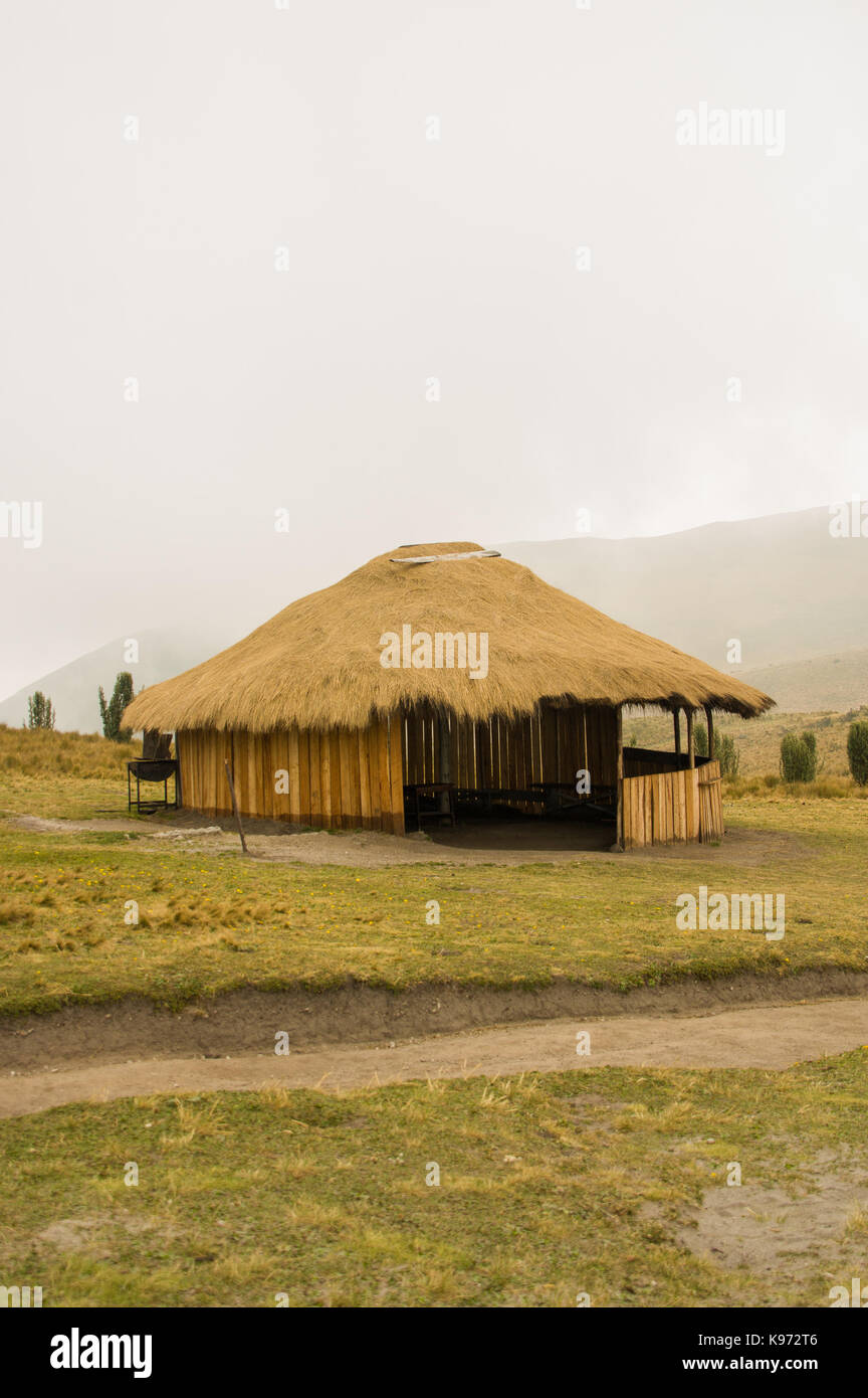 Vista panoramica al vulcano pichincha, con alcuni ande nativo di piante e un tipico intestino andina di paglia, nella parte superiore della montagna pichincha di Quito, e Foto Stock