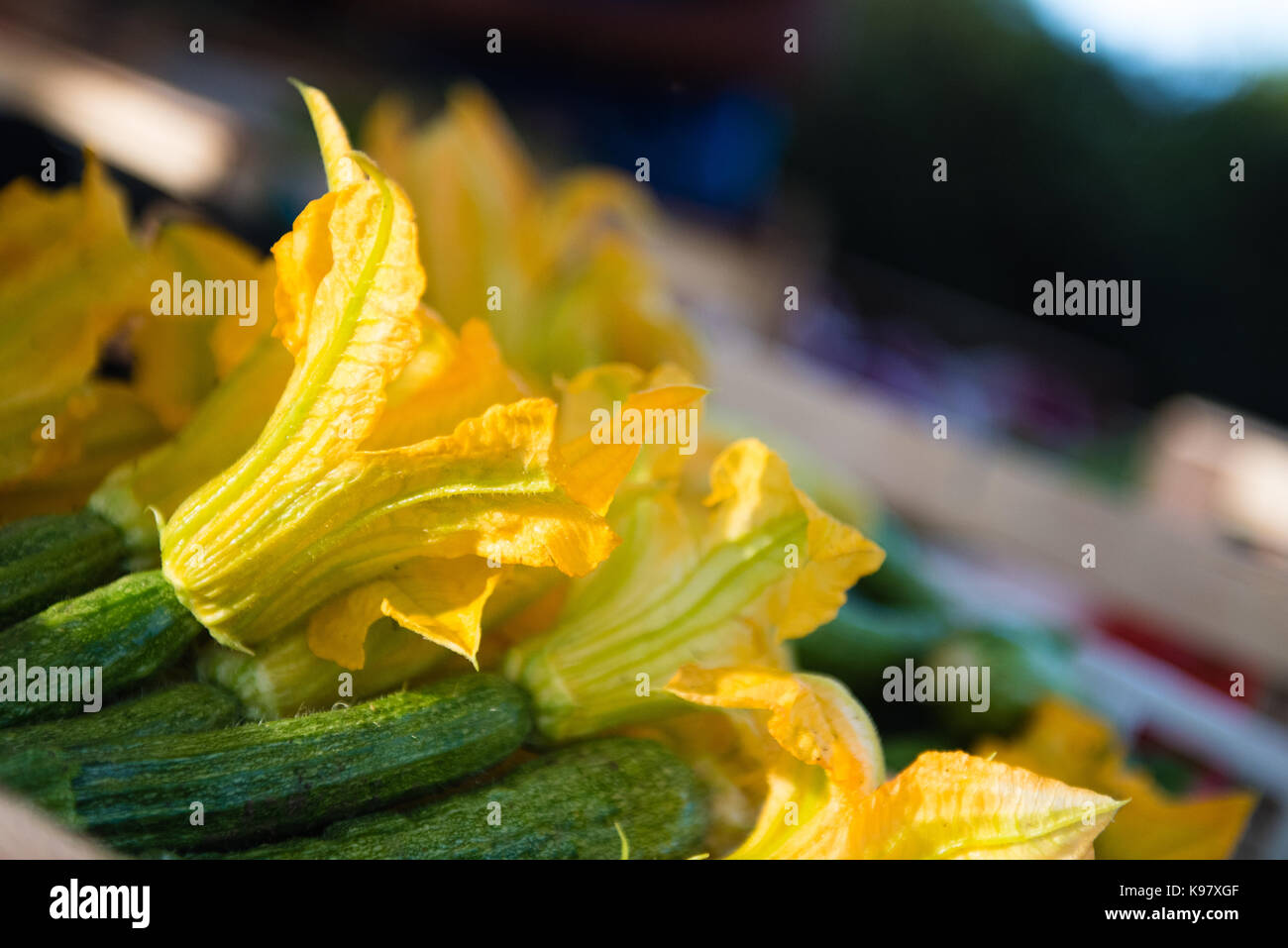 Aprire giallo fiore di zucchine mazzetto fuoco selettivo dettaglio stallo del mercato in background Foto Stock