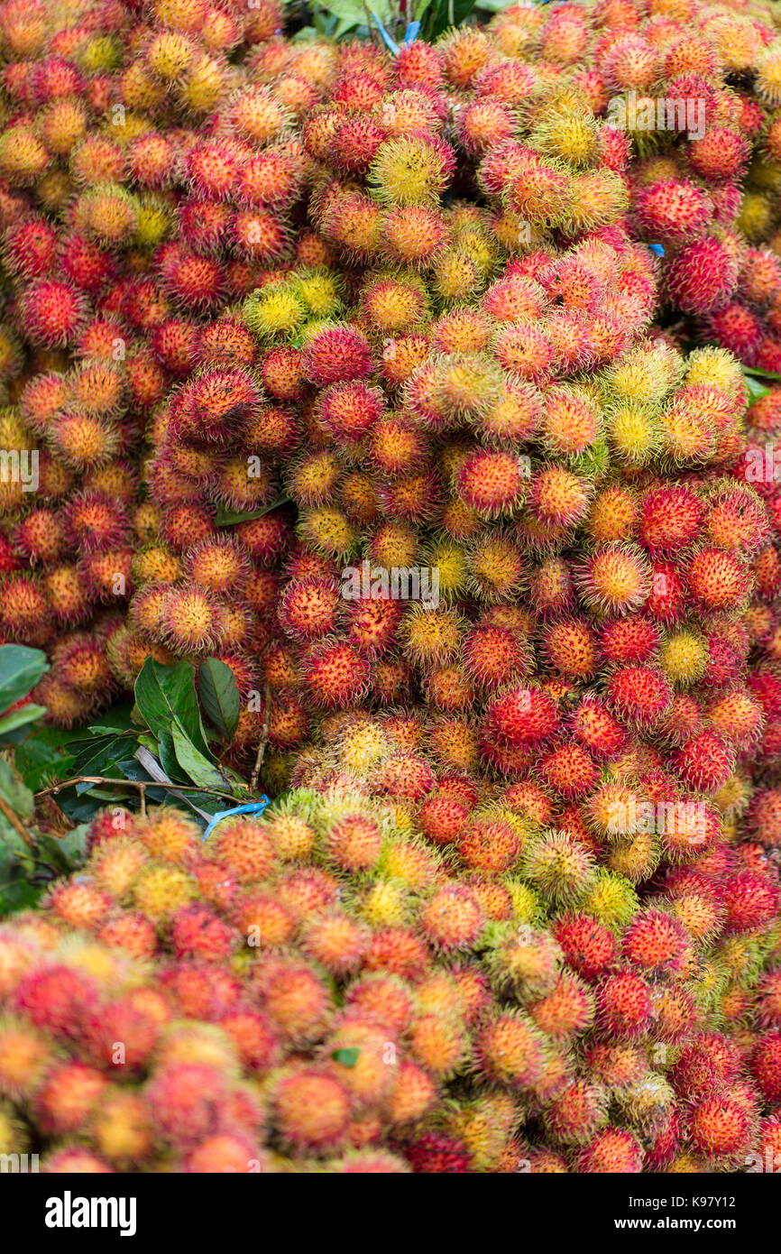 Pile di rambutan fresco frutta in un mercato alimentare, Java, Indonesia Foto Stock