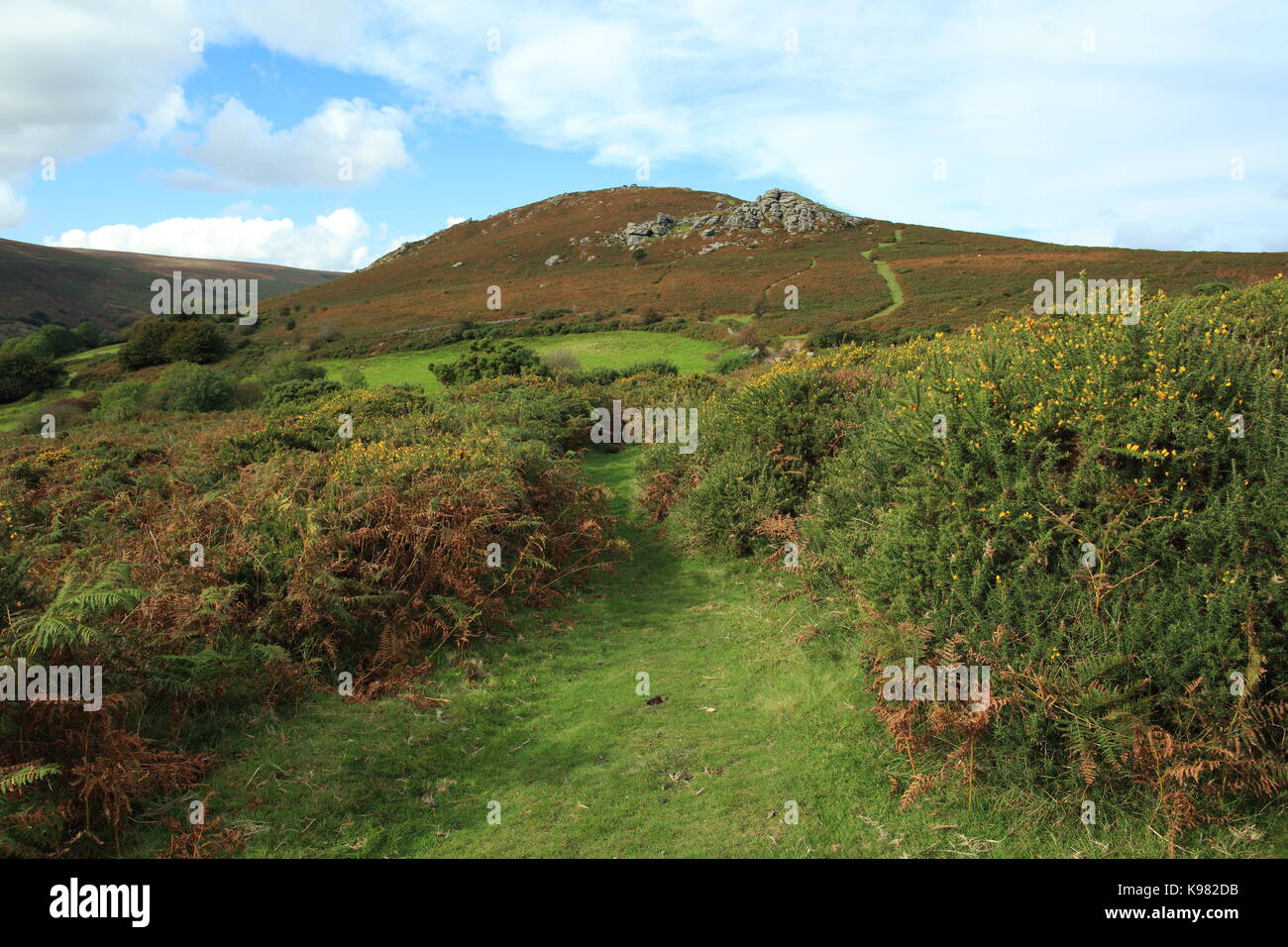 Bell Tor in autunno, Dartmoor Devon, Inghilterra, Regno Unito Foto Stock