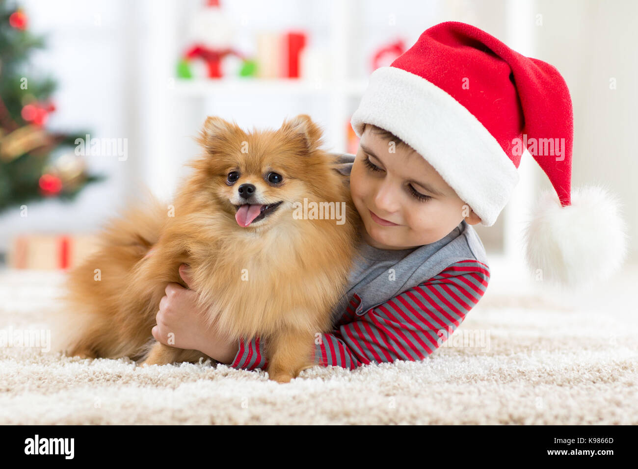 Little Boy e cane a natale Foto Stock