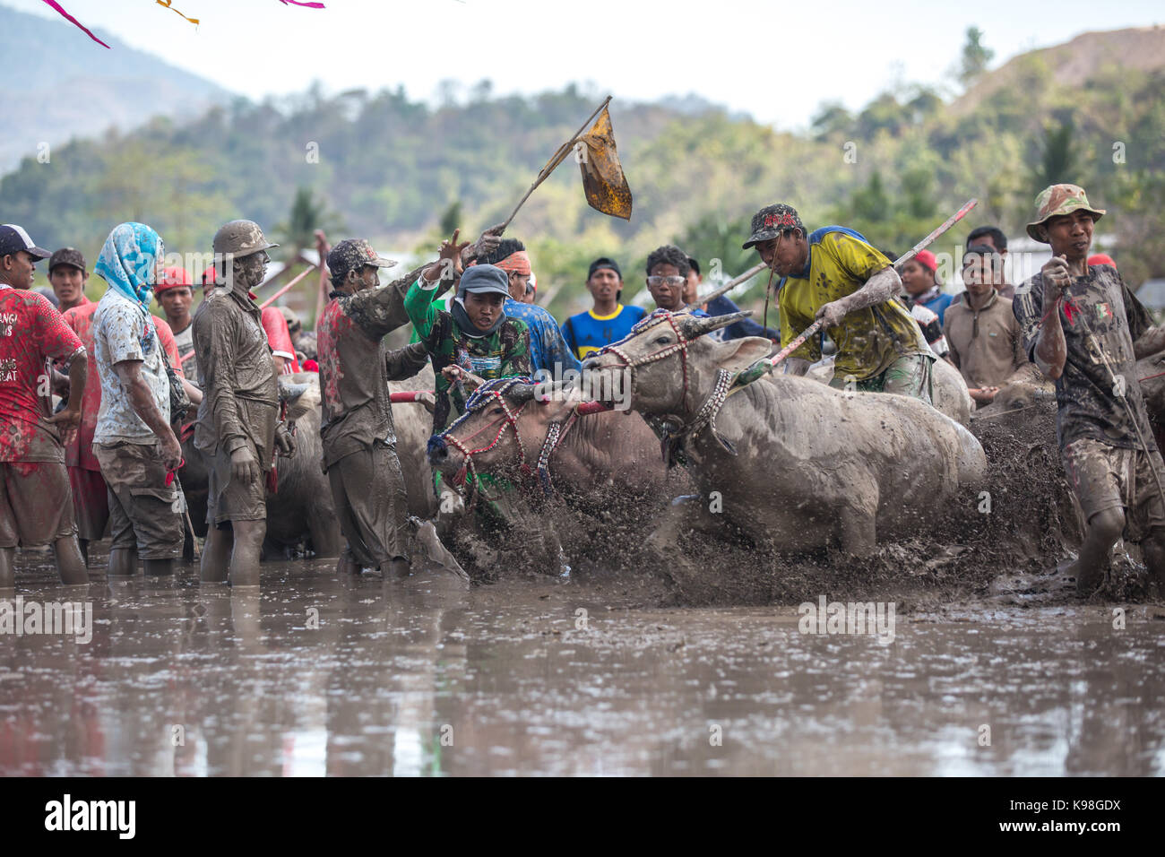 Jereweh, sumbawa barat, Indonesia - 10 settembre 2017: locale buffalo gara concorso sull isola di Sumbawa, Indonesia il 10 settembre 2017. Foto Stock