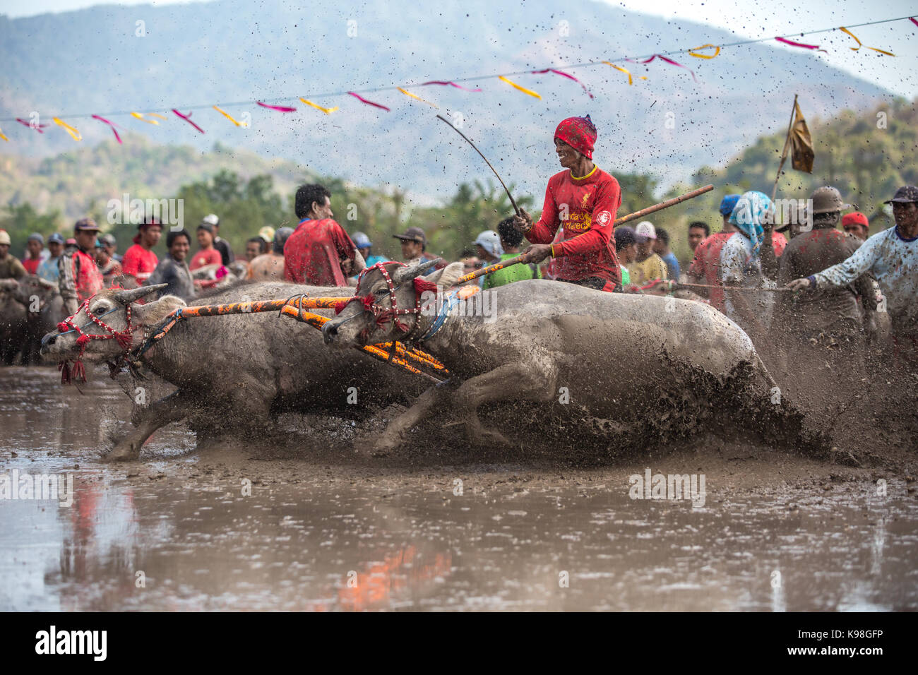 Jereweh, sumbawa barat, Indonesia - 10 settembre 2017: locale buffalo gara concorso sull isola di Sumbawa, Indonesia il 10 settembre 2017. Foto Stock