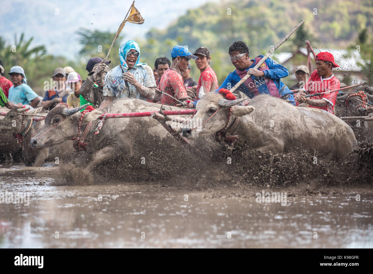 Jereweh, sumbawa barat, Indonesia - 10 settembre 2017: locale buffalo gara concorso sull isola di Sumbawa, Indonesia il 10 settembre 2017. Foto Stock