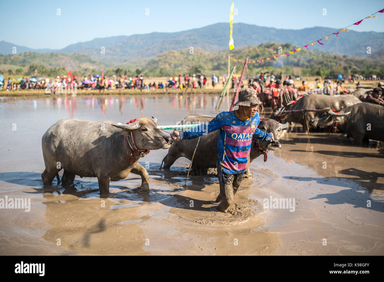 Jereweh, sumbawa barat, Indonesia - 10 settembre 2017: locale buffalo gara concorso sull isola di Sumbawa, Indonesia il 10 settembre 2017. Foto Stock
