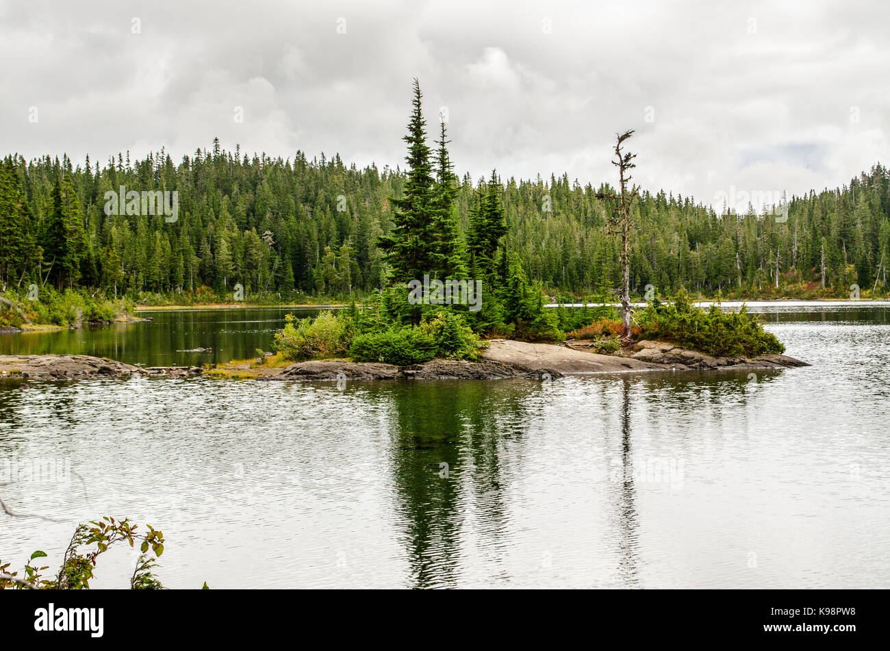 Il lago di helen mackenzie, isola di conifere, strathcona, Canada Foto Stock