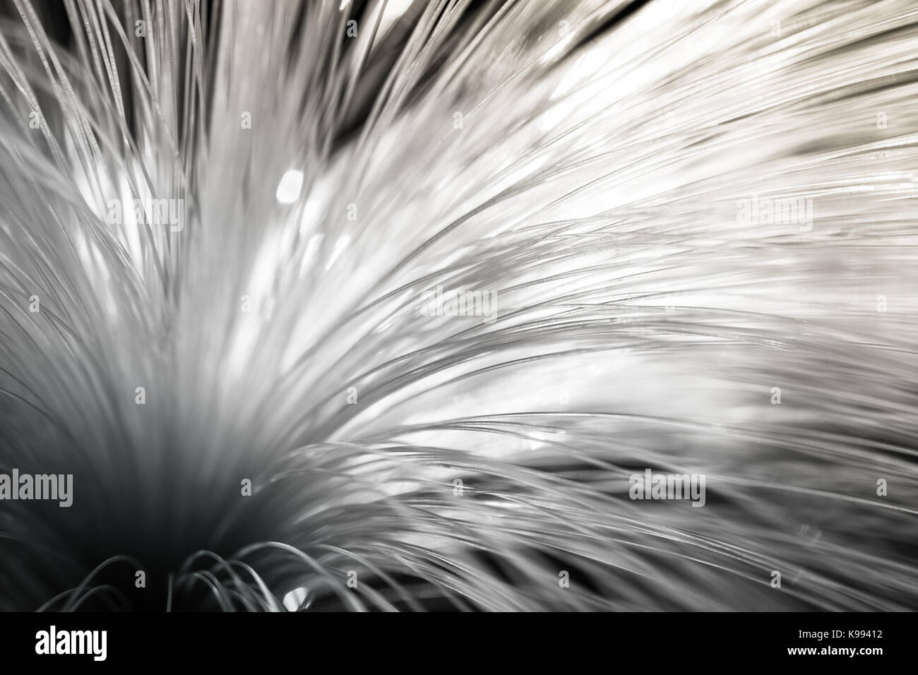 Lampada delle fibre ottiche. Foto Stock