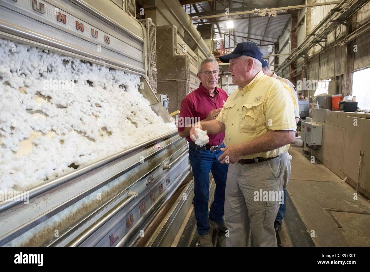 El campo, Stati Uniti. 21 Settembre 2017. Il Segretario dell'Agricoltura degli Stati Uniti Sonny Perdue (camicia gialla) e il Presidente dell'Agricoltura della Casa Mike Conaway (TAN) tour un gin di cotone dopo aver incontrato gli agricoltori le cui colture di cotone sono state devastate dall'uragano Harvey tre settimane fa. In camicia rossa è il compratore di cotone Johnny Ropolo. Credit: Bob Daemmrich/Alamy Live News Foto Stock