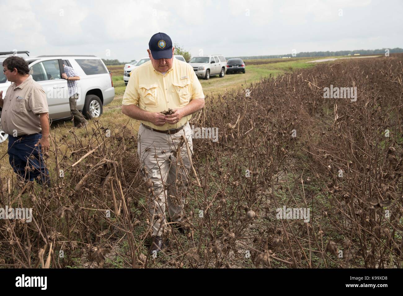 El campo, Stati Uniti d'America. Xxi Sep, 2017. degli Stati Uniti Segretario di Agricoltura sonny perdue (giallo shirt) tours fattorie di cotone devastata dall'uragano harvey tre settimane fa. perdue ha fatto una visita di un giorno e cavalcavia di wharton County, Texas. Credito: bob daemmrich/alamy live news Foto Stock