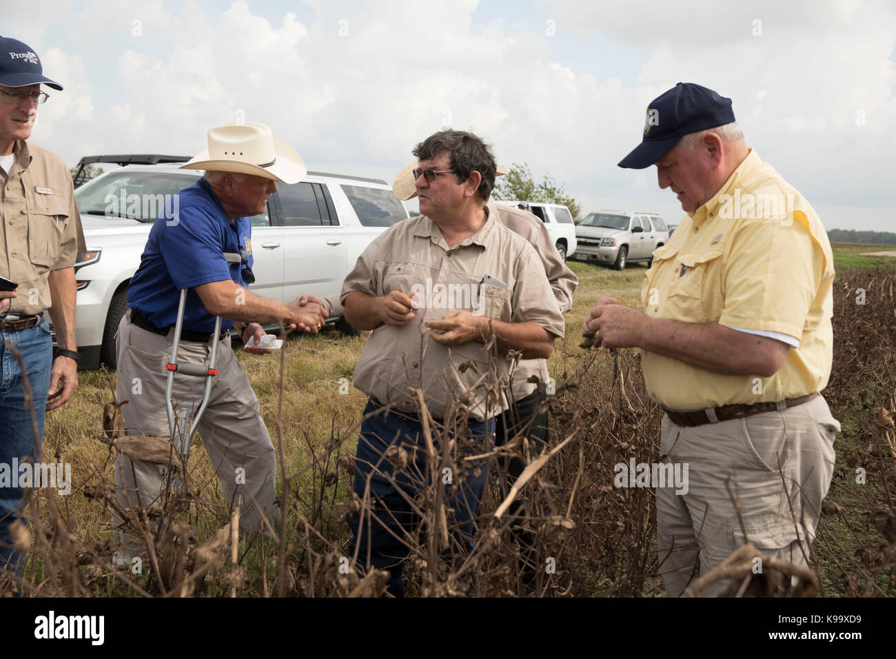 El campo, Stati Uniti d'America. Xxi Sep, 2017. degli Stati Uniti Segretario di Agricoltura sonny perdue (giallo shirt), casa agricoltura presidente mike conaway (tan) e Texas commissario per l'agricoltura sid Miller (blu) tour fattorie di cotone devastata dall'uragano harvey tre settimane fa. Credito: bob daemmrich/alamy live news Foto Stock
