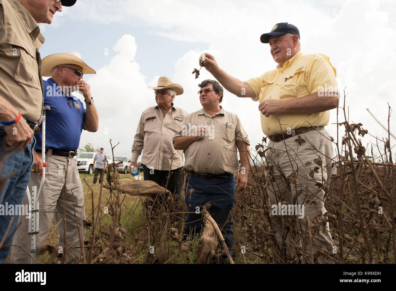 El campo, Stati Uniti d'America. Xxi Sep, 2017. degli Stati Uniti Segretario di Agricoltura sonny perdue (giallo shirt), casa agricoltura presidente mike conaway (tan) e Texas commissario per l'agricoltura sid Miller (blu) tour fattorie di cotone devastata dall'uragano harvey tre settimane fa. Credito: bob daemmrich/alamy live news Foto Stock
