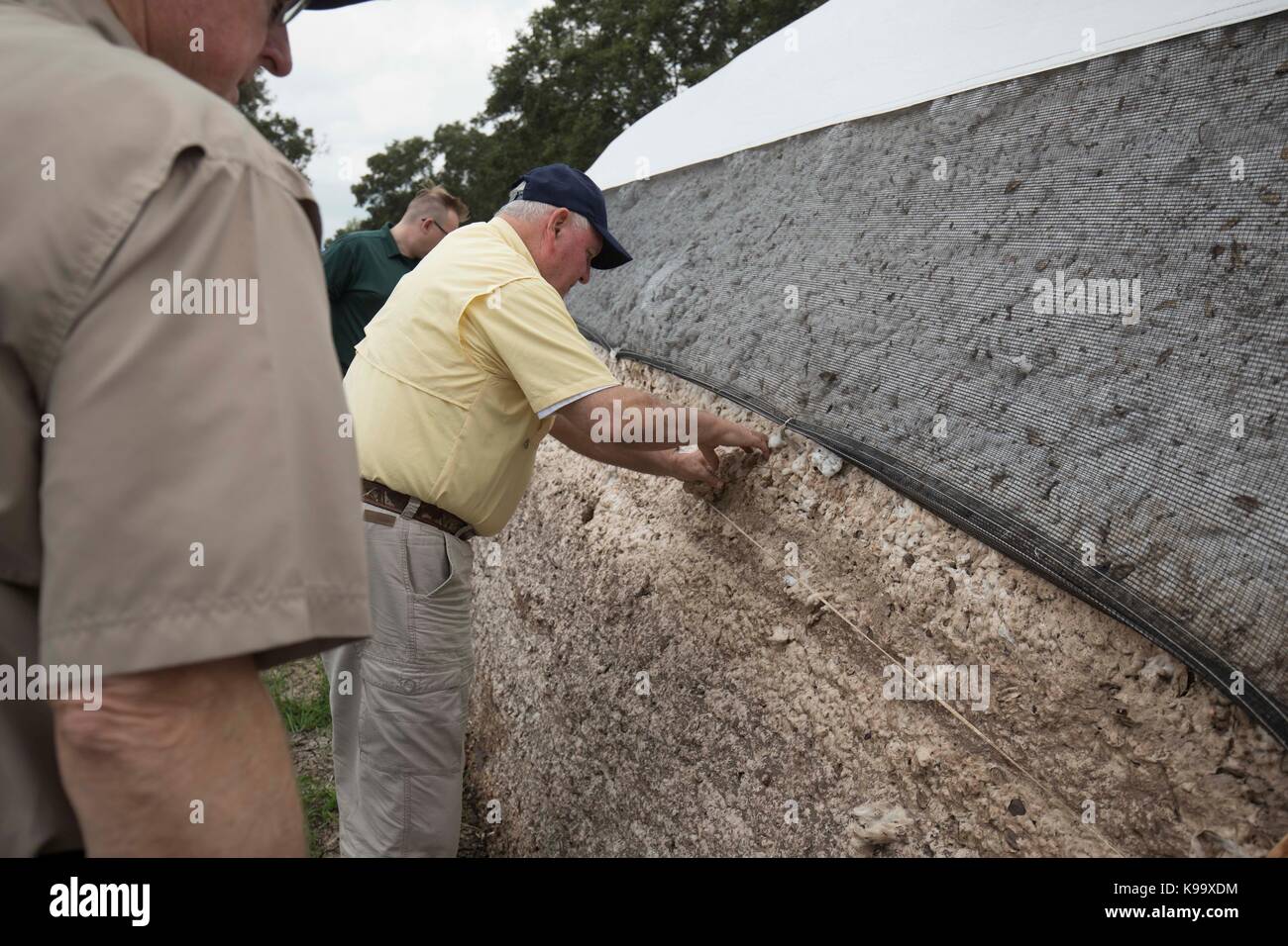 El campo, Stati Uniti. 21 Settembre 2017. Il Segretario dell'Agricoltura degli Stati Uniti Sonny Perdue (camicia gialla) e il Presidente dell'Agricoltura della Casa Mike Conaway (TAN) guardano alle balle di cotone bagnati dalla pioggia durante un tour di una fattoria di cotone devastata dall'uragano Harvey tre settimane fa. Credit: Bob Daemmrich/Alamy Live News Foto Stock