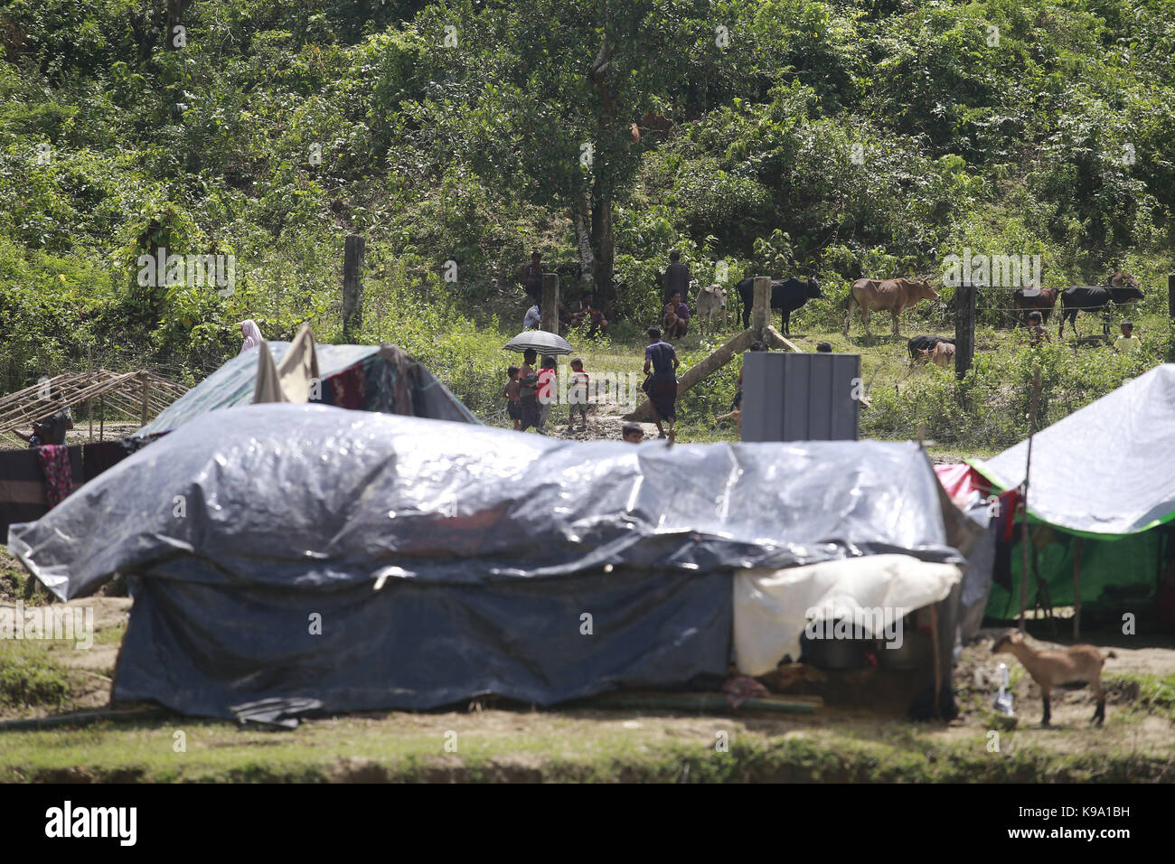 2 settembre 2017 - bangladesh - Myanmar è di etnia rohingya musulmani costruire tenda realizzato localmente sul Bangladesh lato del confine in tumbro, Bangladesh. (Credito immagine: © suvra kanti das via zuma filo) Foto Stock