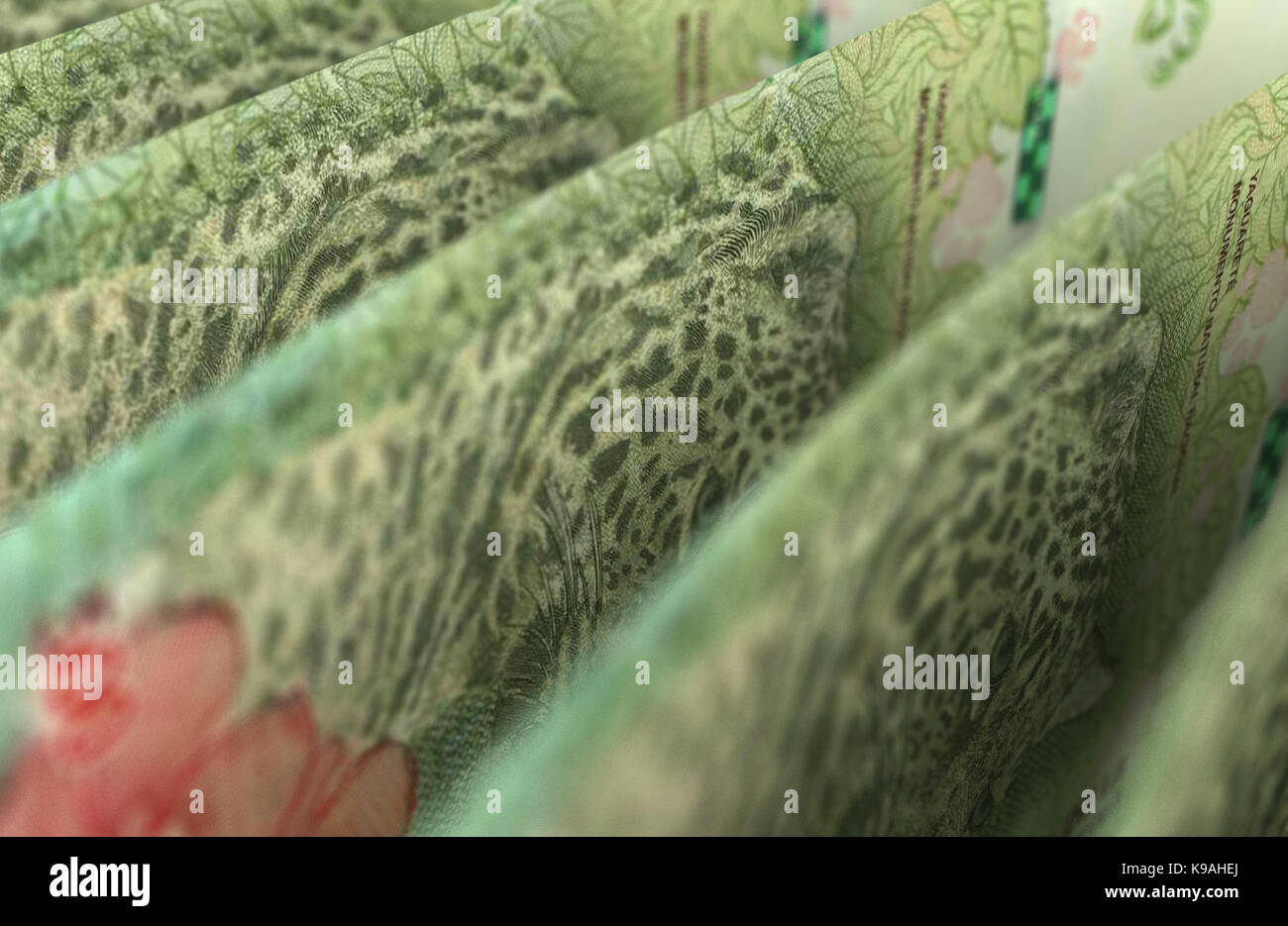 Argentina pesos closeup Foto Stock