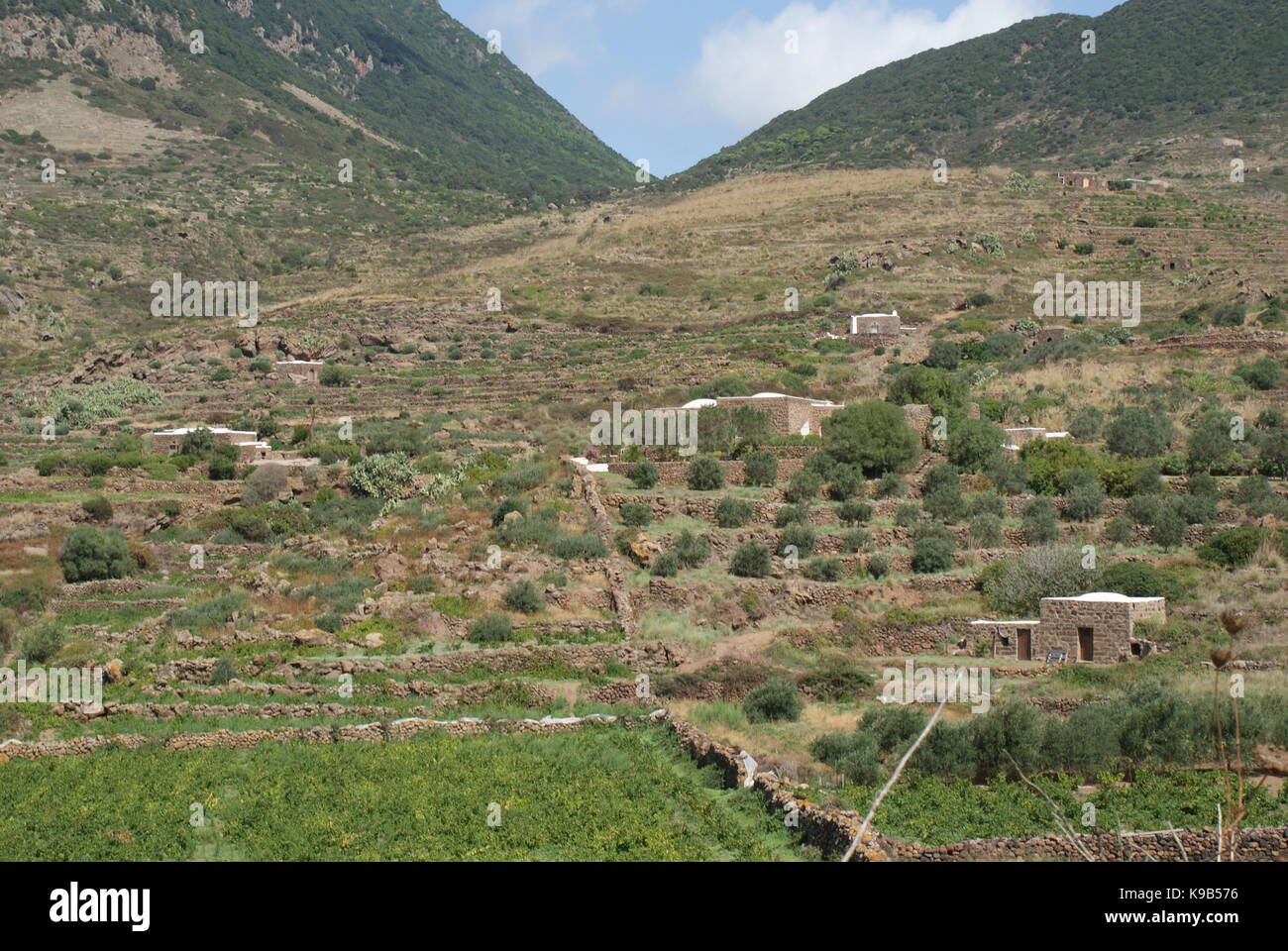 Campagna e dammusi, Pantelleria, Italia Foto Stock