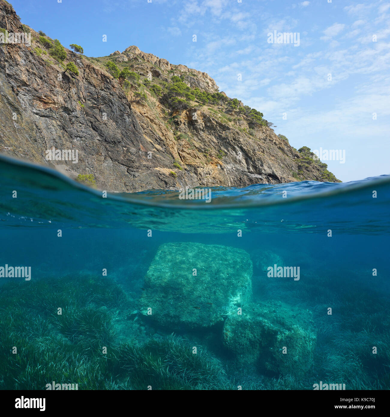 Il paesaggio costiero al di sopra e al di sotto della superficie dell'acqua, scogliera con rocce e Neptune erba subacquea, mare mediterraneo, cap norfeu, Costa Brava, SPAGNA Foto Stock