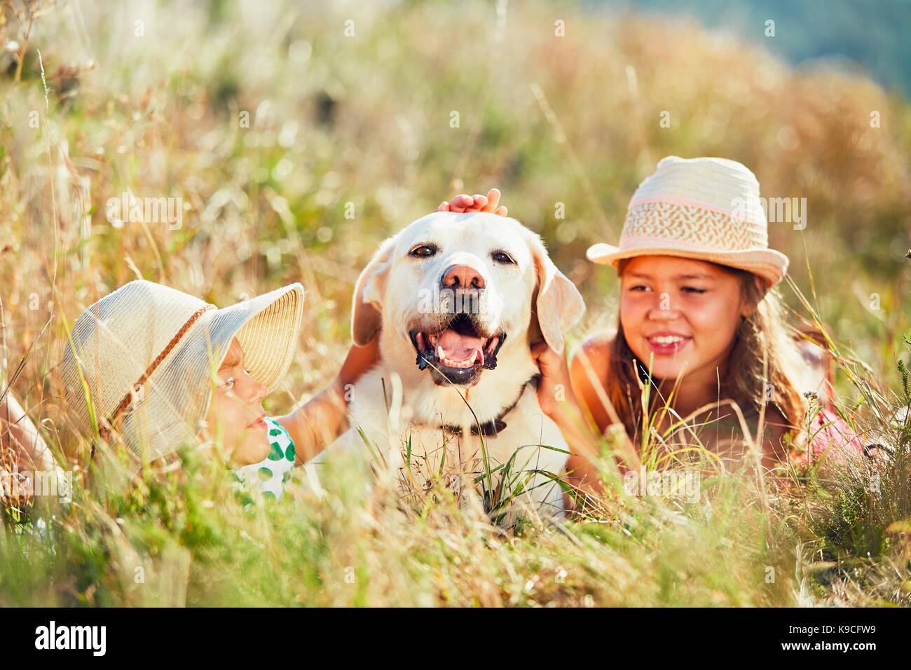 Summertime in campagna. Le due ragazze giacente in erba abbraccio il cane (labrador retriever). Foto Stock
