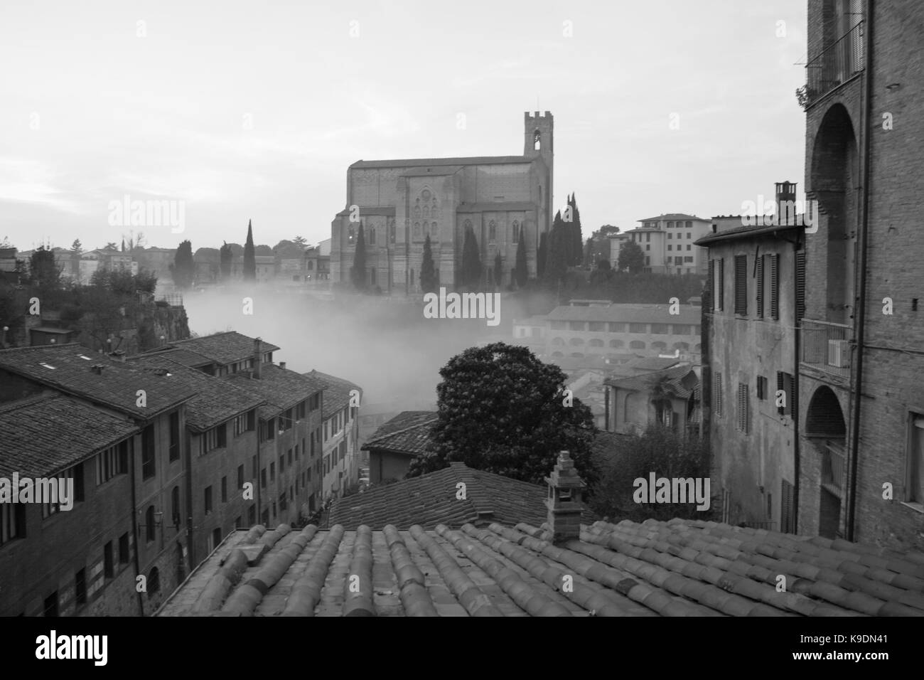 L'Italia, siena - 26 dicembre 2016: la vista dei tetti di tegole rosse e basilica cateriniana di san domenico nella nebbia il 26 dicembre 2016 a Siena, Toscana Foto Stock