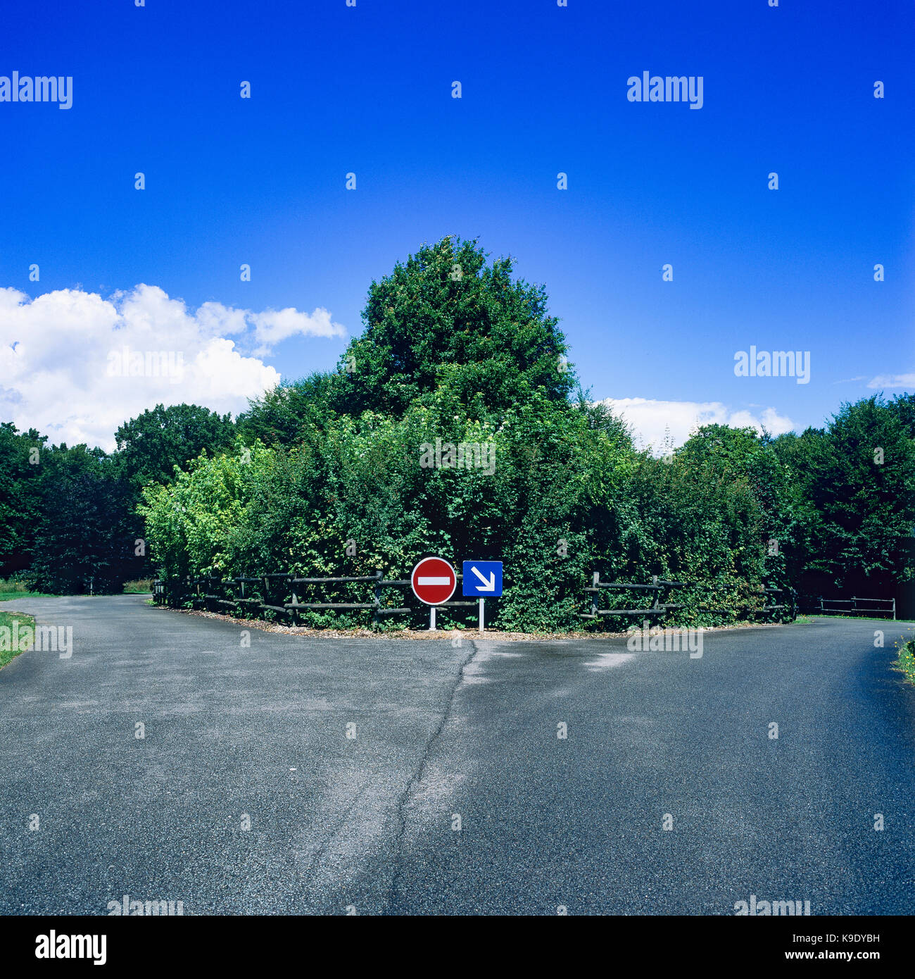Giunzione a Y con forcella di segnaletica stradale, Francia, Europa Foto Stock