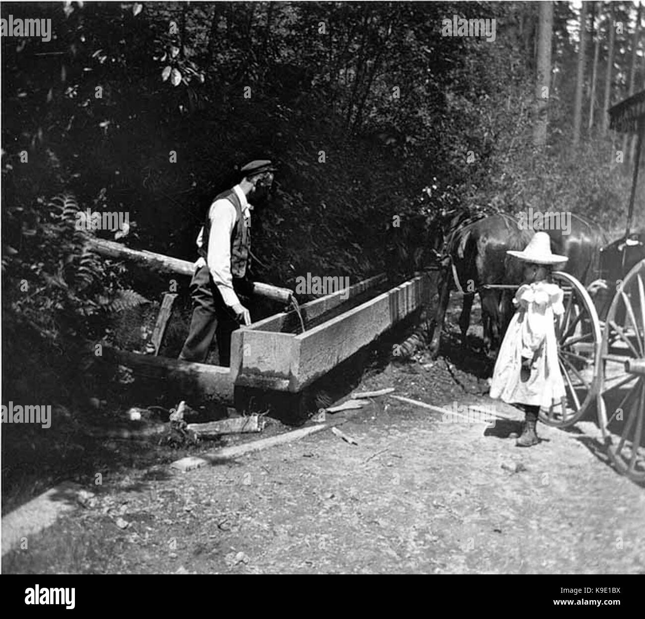 Uno dei bambini Kiehl abbeveraggio cavalli a un canale di irrigazione, Bothell, Washington, 26 maggio 1901 (KIEHL 344) Foto Stock