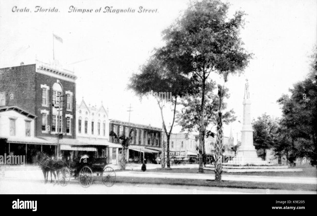 OcalaFLMagnolia Foto Stock