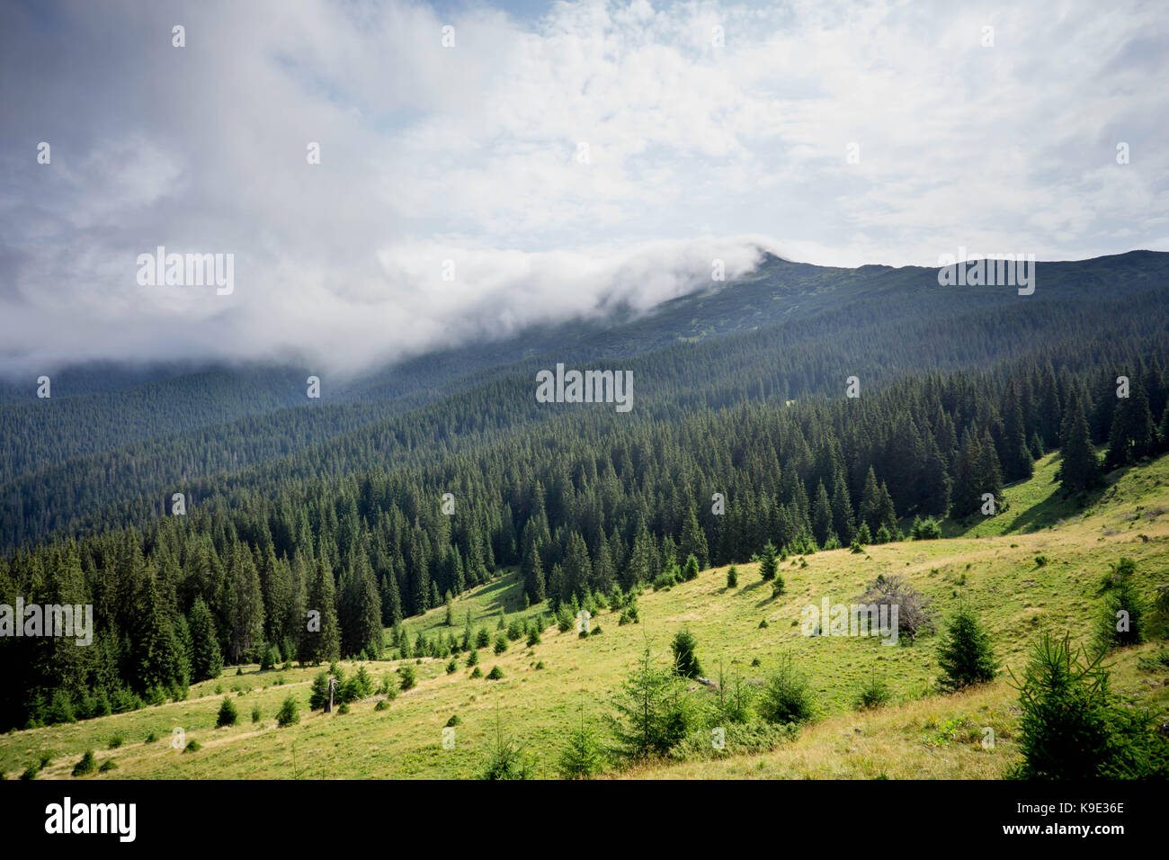 La foto ha preso per un viaggio sulle montagne dei Carpazi intorno al pop ivan. Foto Stock