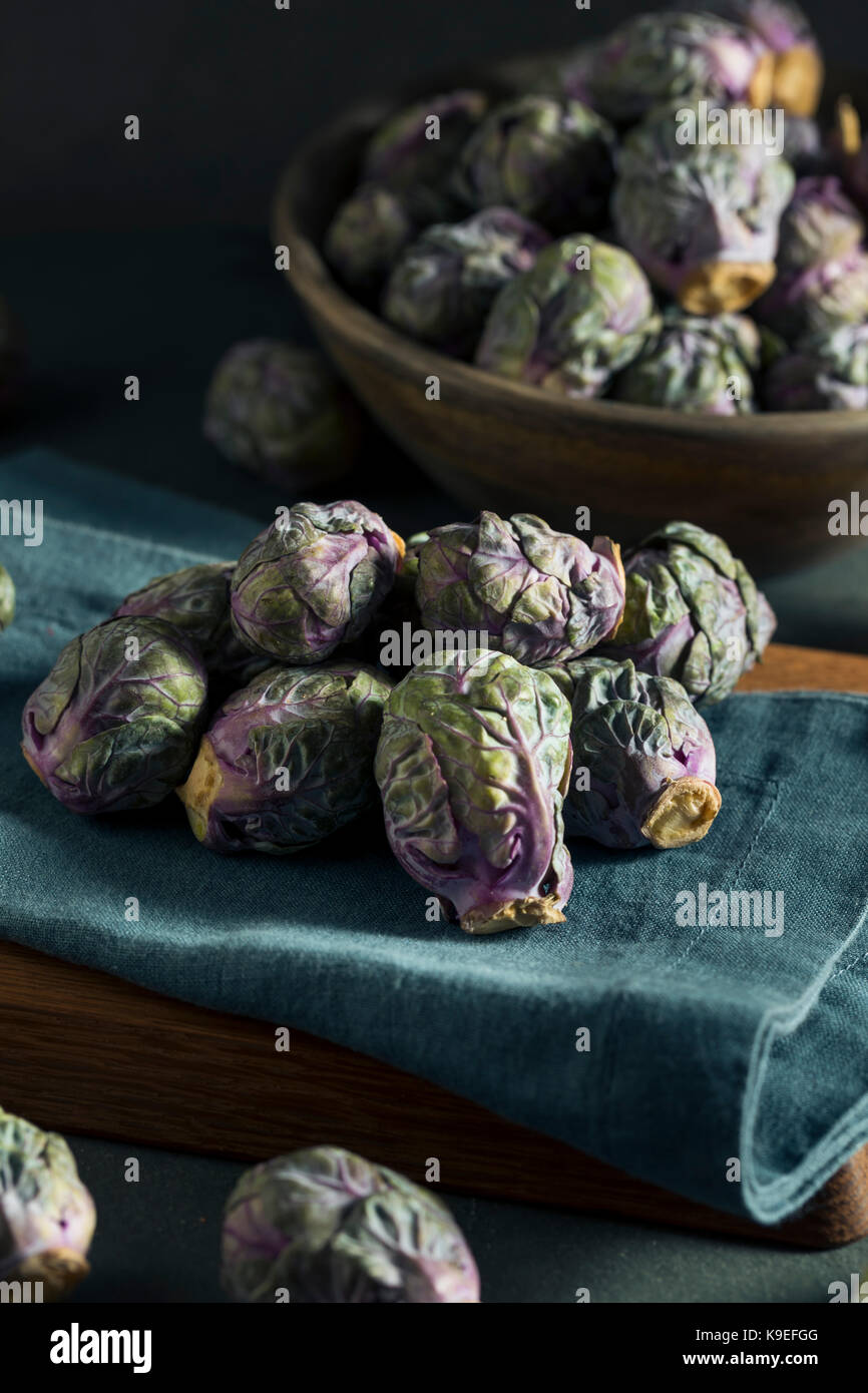 Materie verde e viola i cavoletti di Bruxelles pronta per cucinare Foto Stock