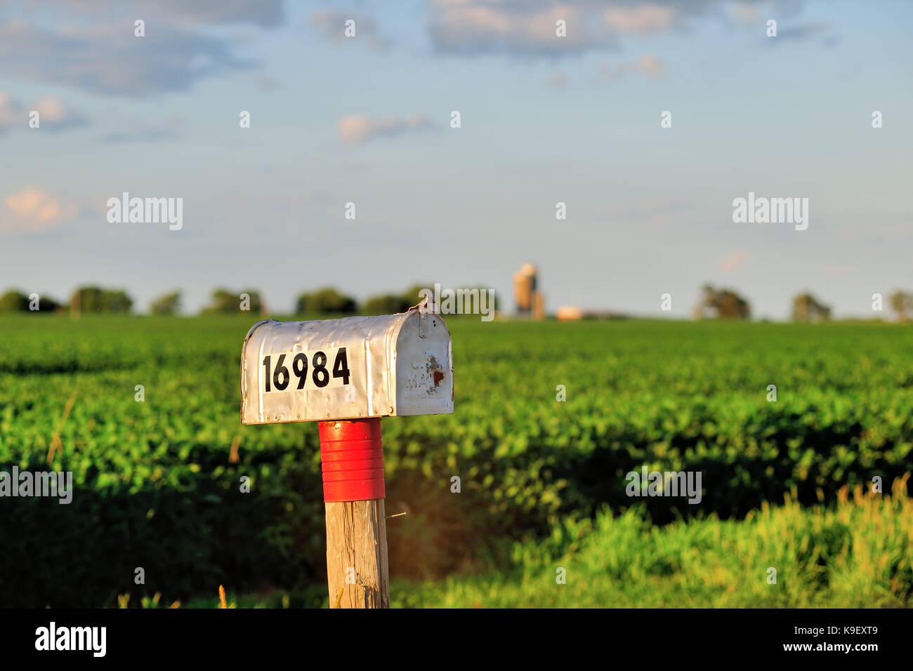 Un isolato, lone cassetta lungo un rurale strada sterrata in Illinois farm paese, vicino a sandwich, Illinois, Stati Uniti d'America. Foto Stock