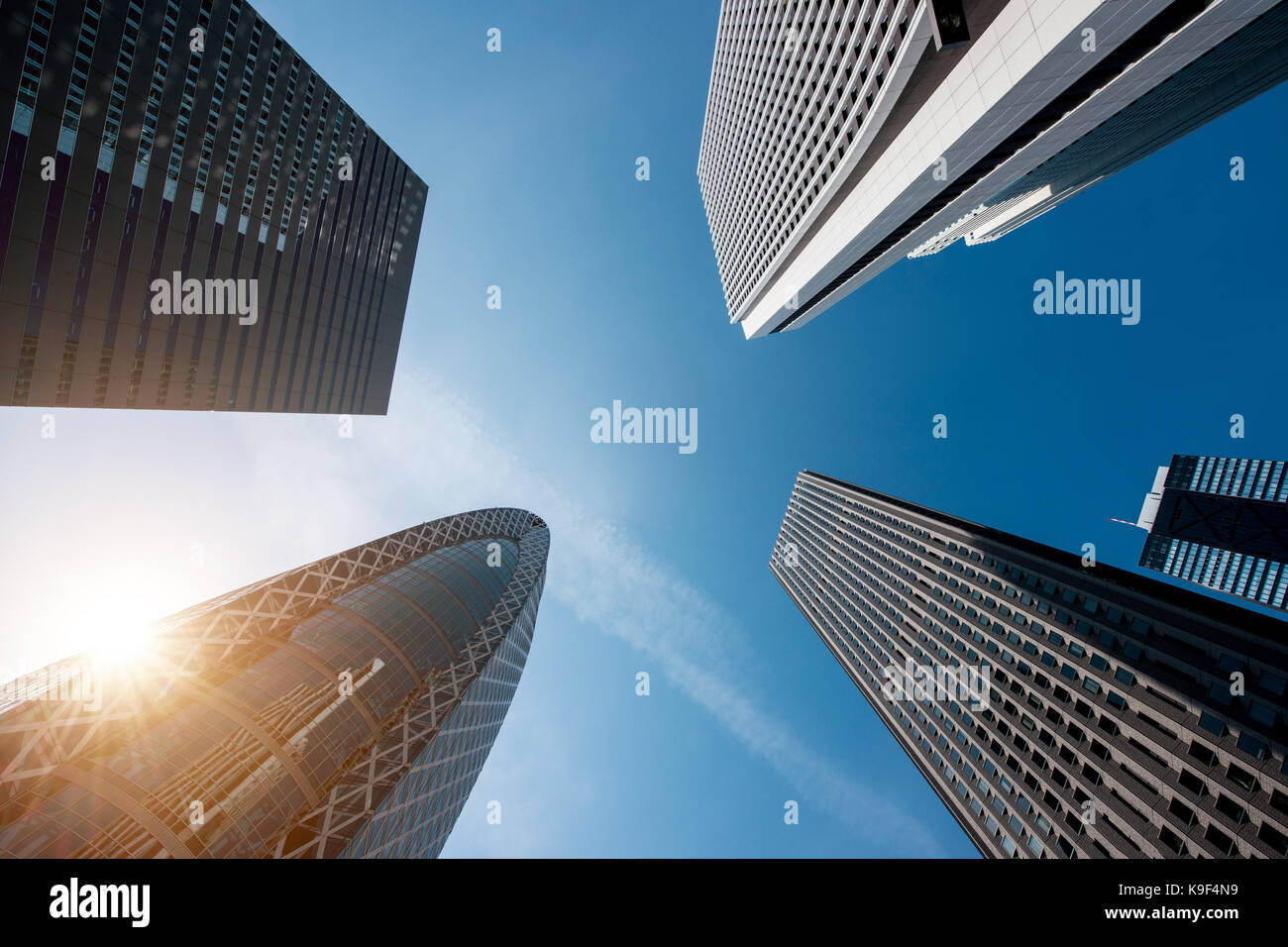 I grattacieli di Tokyo a edifici in Shinjuku di Tokyo nel centro cittadino e il quartiere degli affari in mattinata a Tokyo, Giappone. Foto Stock