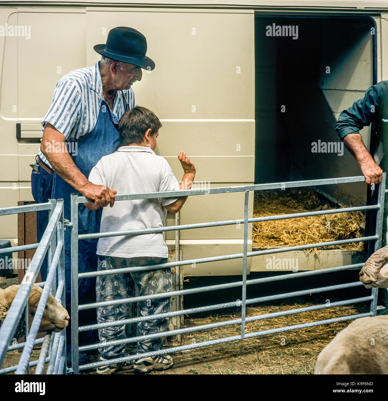 Contadino con black hat, boy, autocarro, annuale mercato del bestiame, Montfroc, Drôme, Provenza, Francia Foto Stock