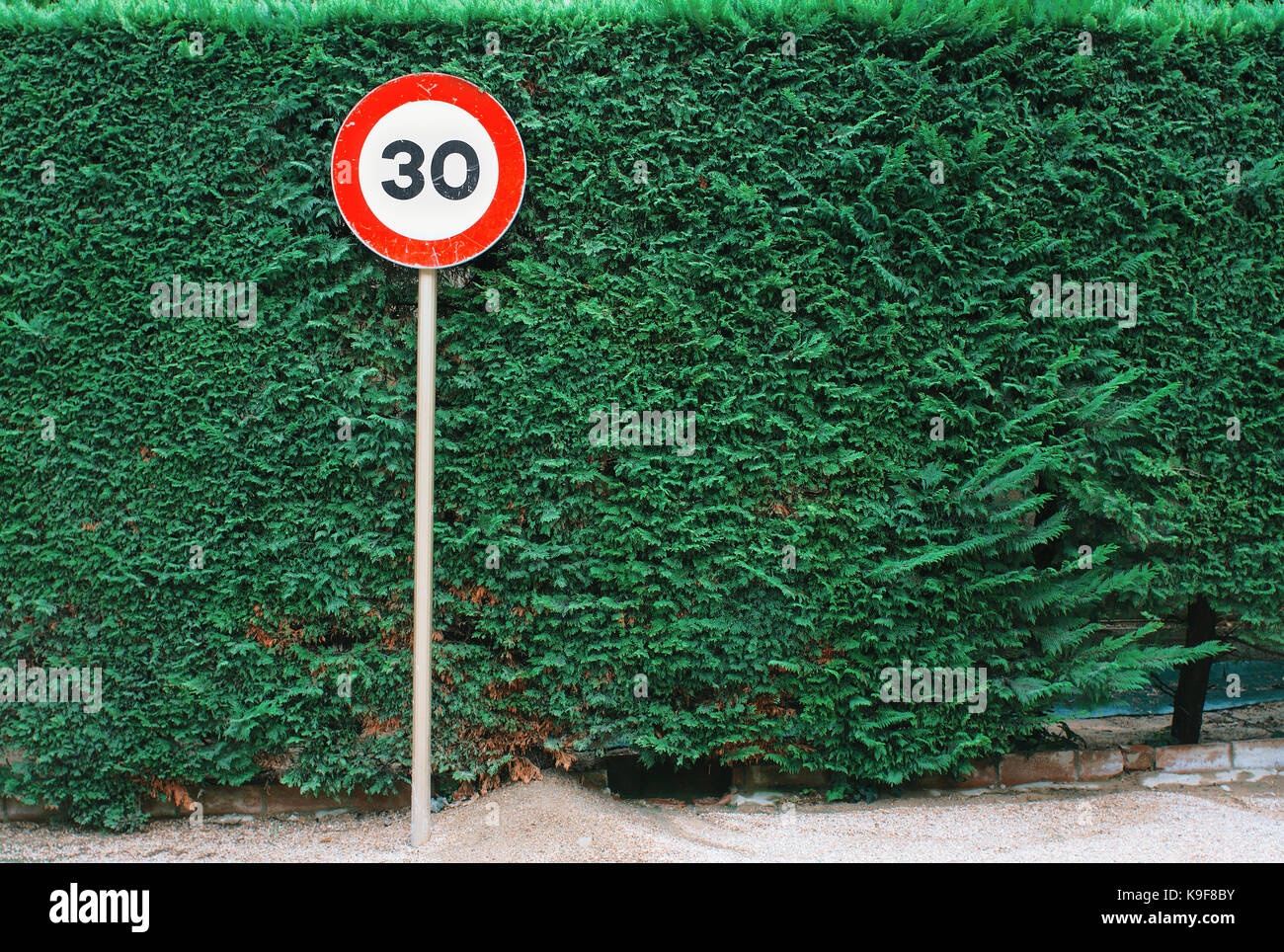 Segno di traffico il limite massimo di velocità 30 km/h. con recinto verde, foglie di sfondo a parete Foto Stock
