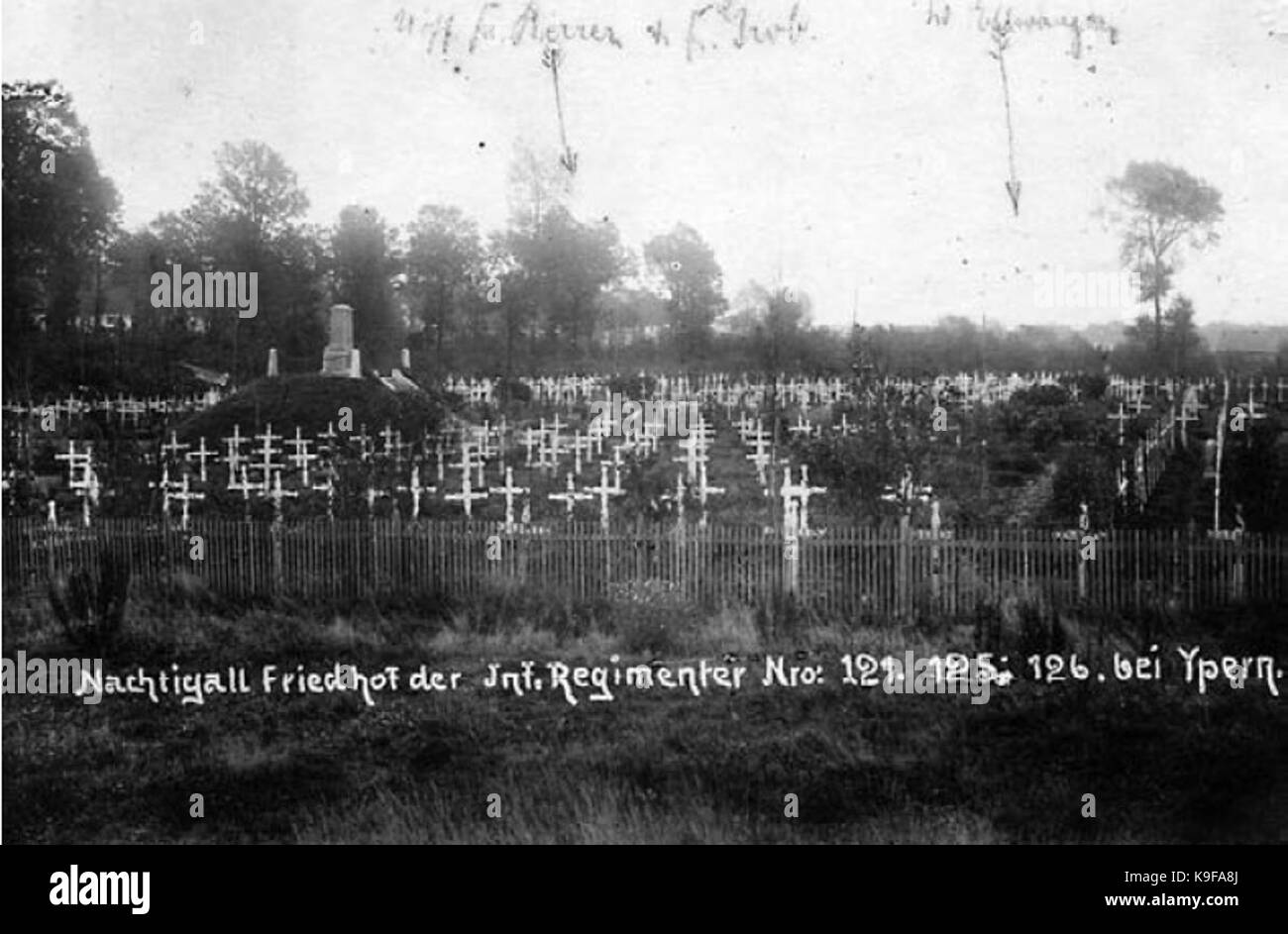 Nachtigall2 Foto Stock