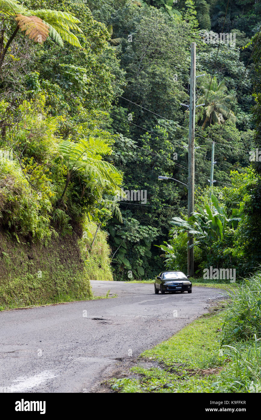 Santa Lucia. Strada costiera nella foresta pluviale tra Anse La Raye e di Soufriere. Foto Stock