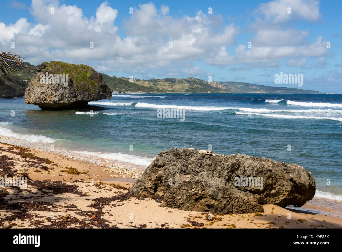 Barbados. Bathsheba Beach Scena, Oceano Atlantico. Foto Stock