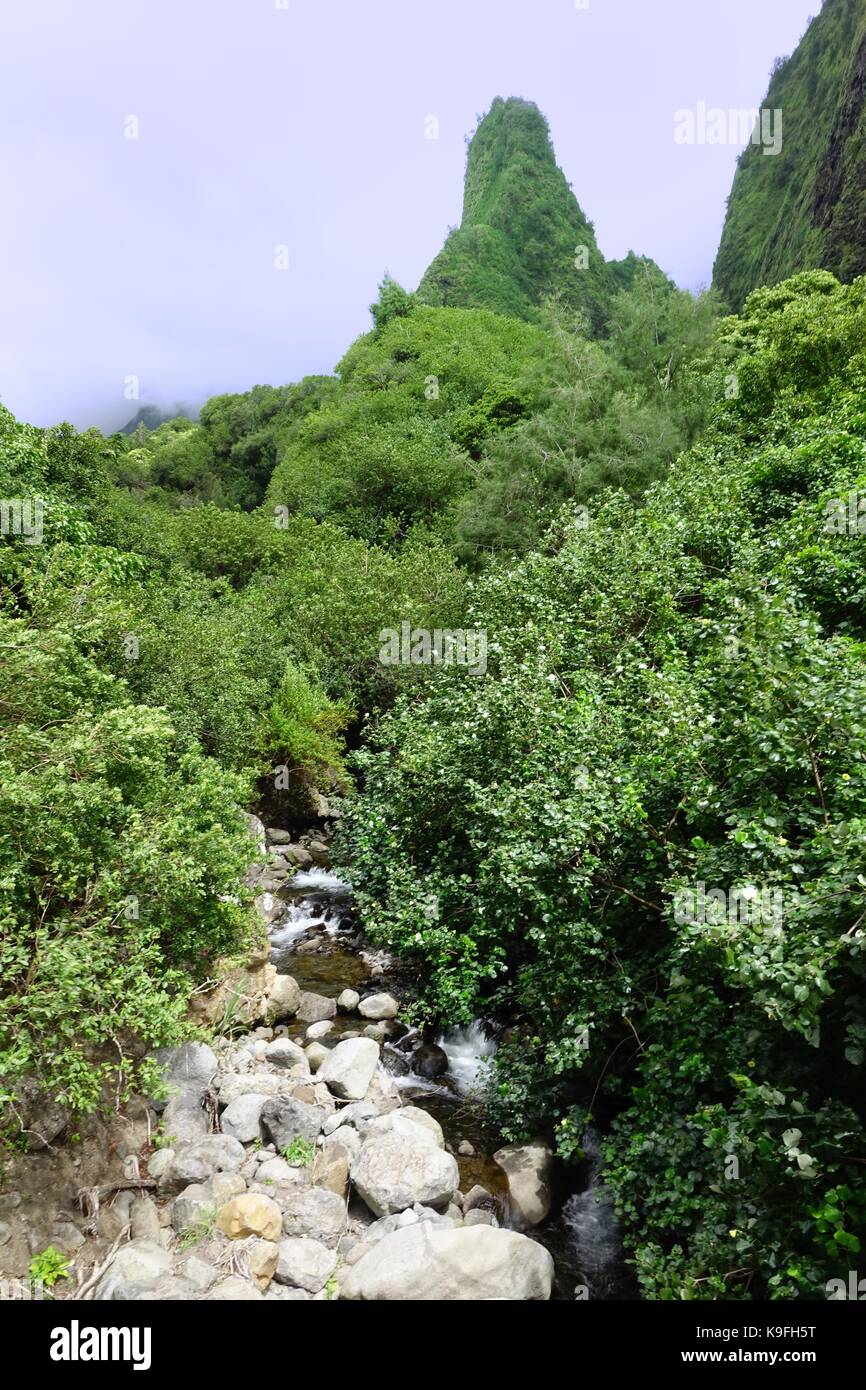 Ago Iso e Iao stream, Iao Valley State Park, Wailuku, Maui, Hawaii Foto Stock