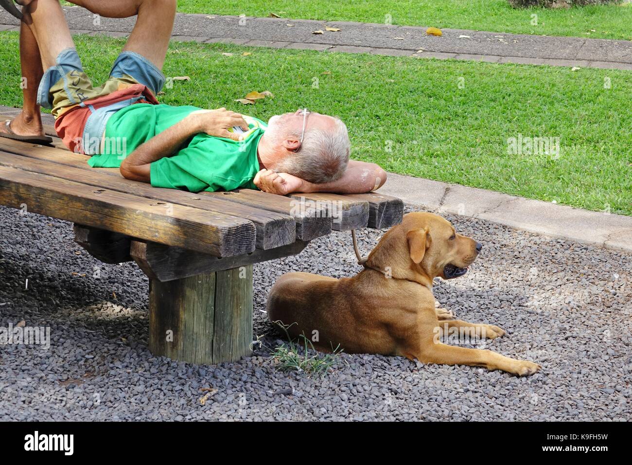 Uomo appoggiato su una panchina nel parco con il cane in appoggio al di sotto di esso Foto Stock