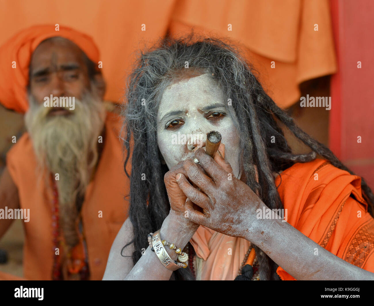 Di mezza età indù indiano santa donna (sadhvi, femmina sadhu) con dreadlocks e vibhuti (bianco sacre ceneri) sul suo viso, fumare hashish (marijuana) Foto Stock