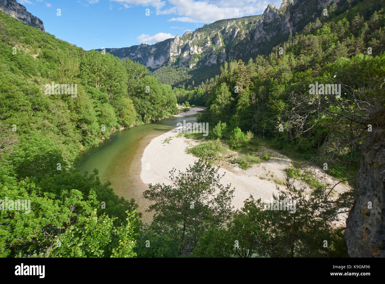 Gole del Tarn Foto Stock