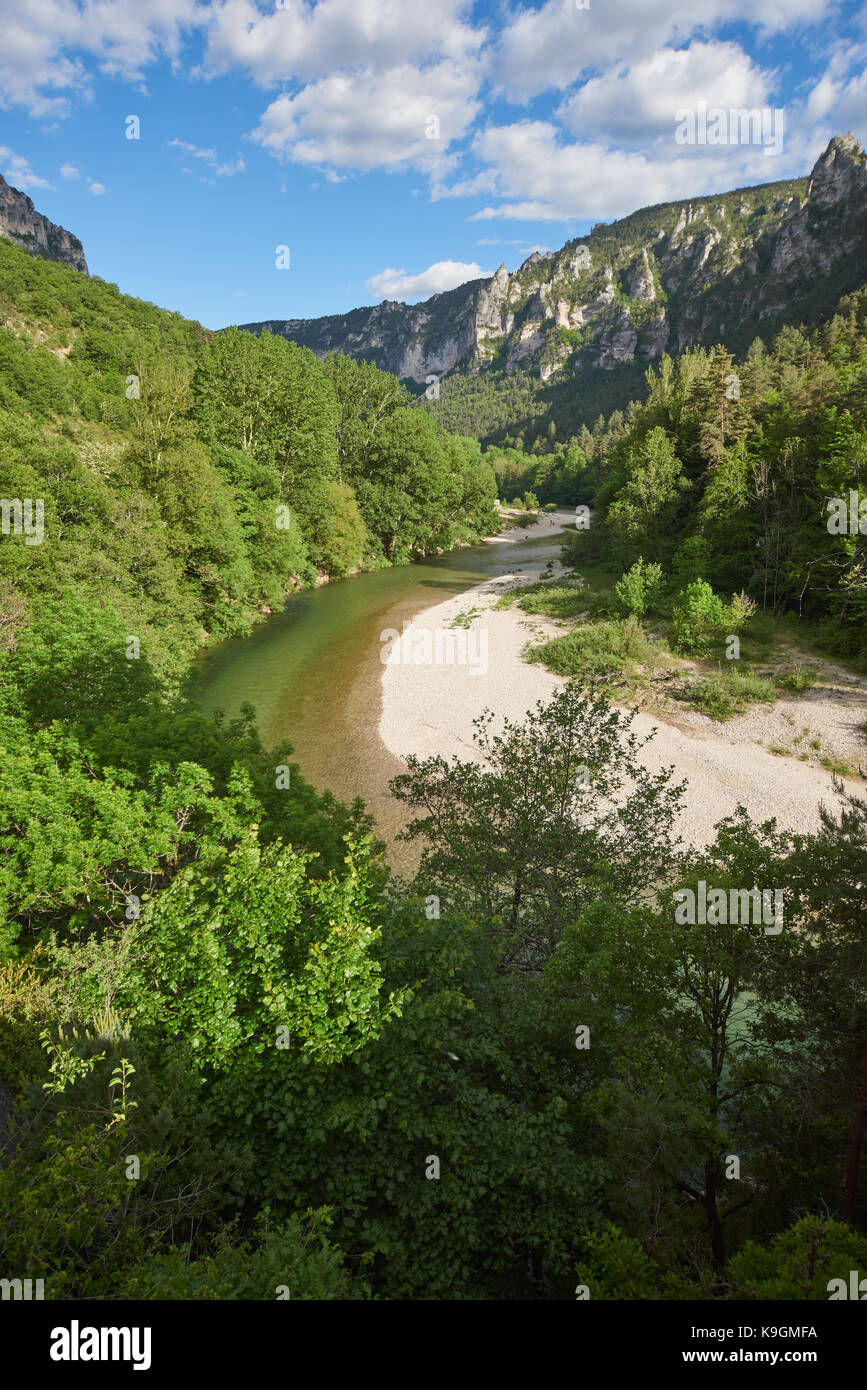Gole del Tarn Foto Stock