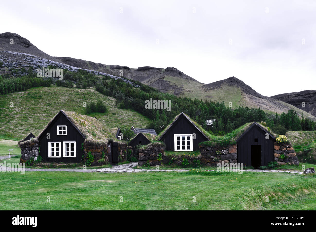 Islandese tradizionale case con erba Foto Stock