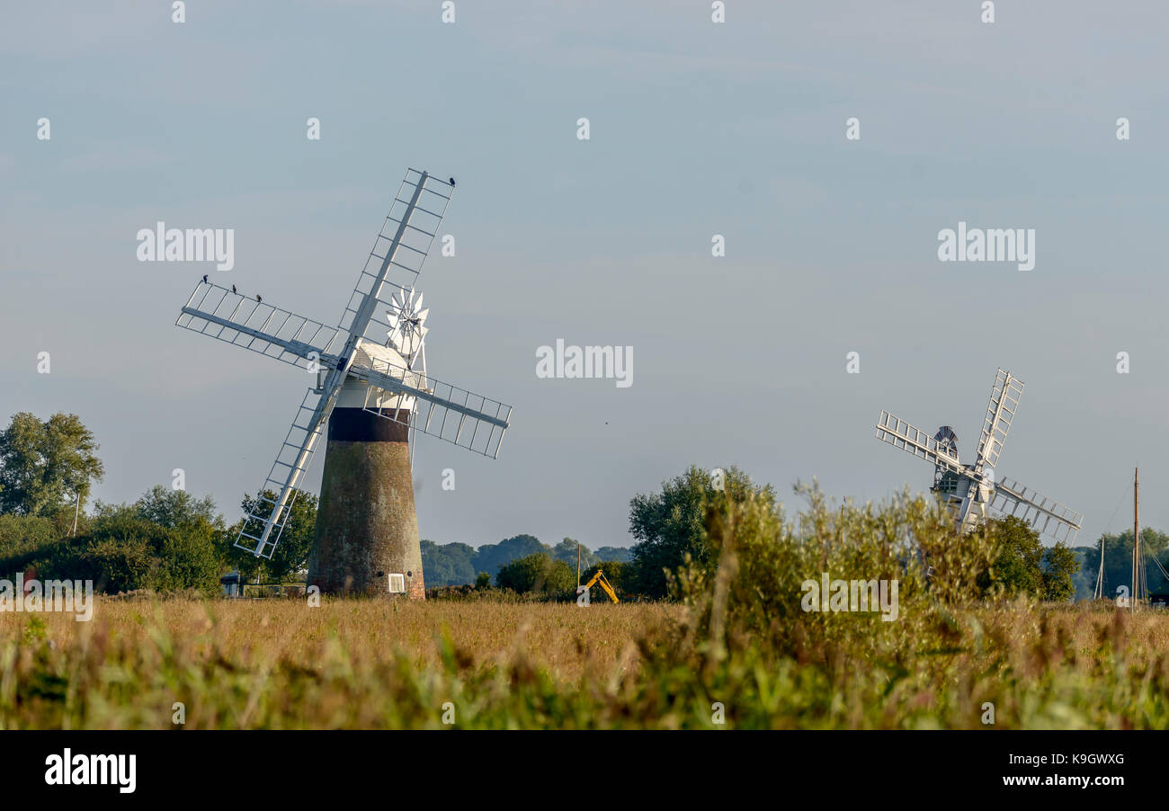 Thurne windpump windmill Norfolk Broads east coast East Anglia England Regno Unito Isole britanniche Foto Stock